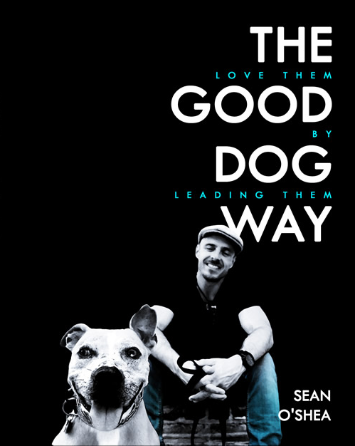 E-BOOK - Love Them by Leading Them