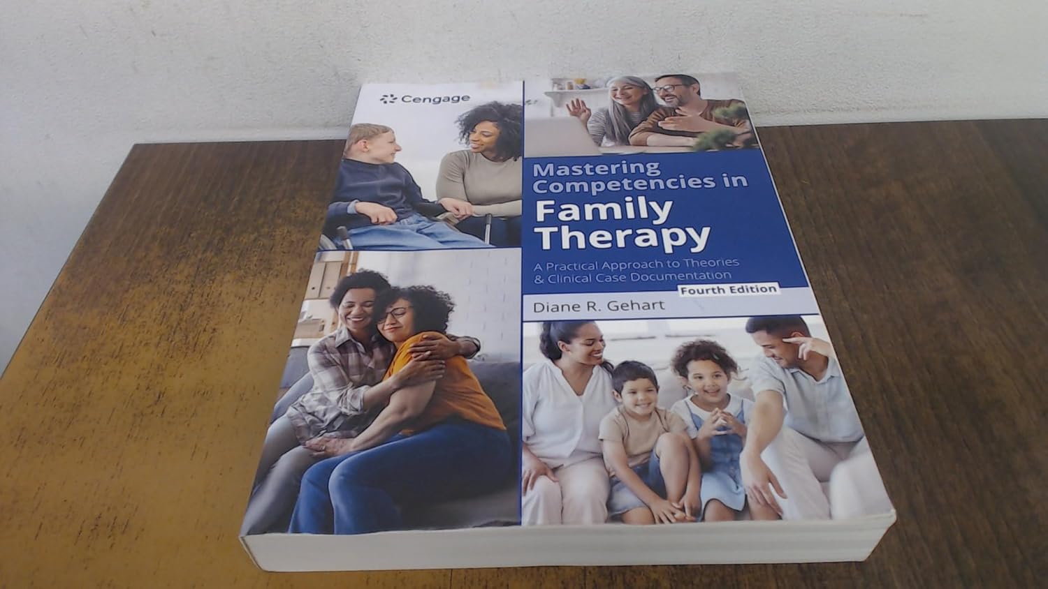 Mastering Competencies in Family Therapy: A Practical Approach to Theories and Clinical Case Documentation 4th Edition