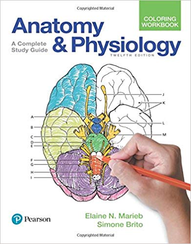 Anatomy and Physiology Coloring Workbook: A Complete Study Guide 12th Edition 