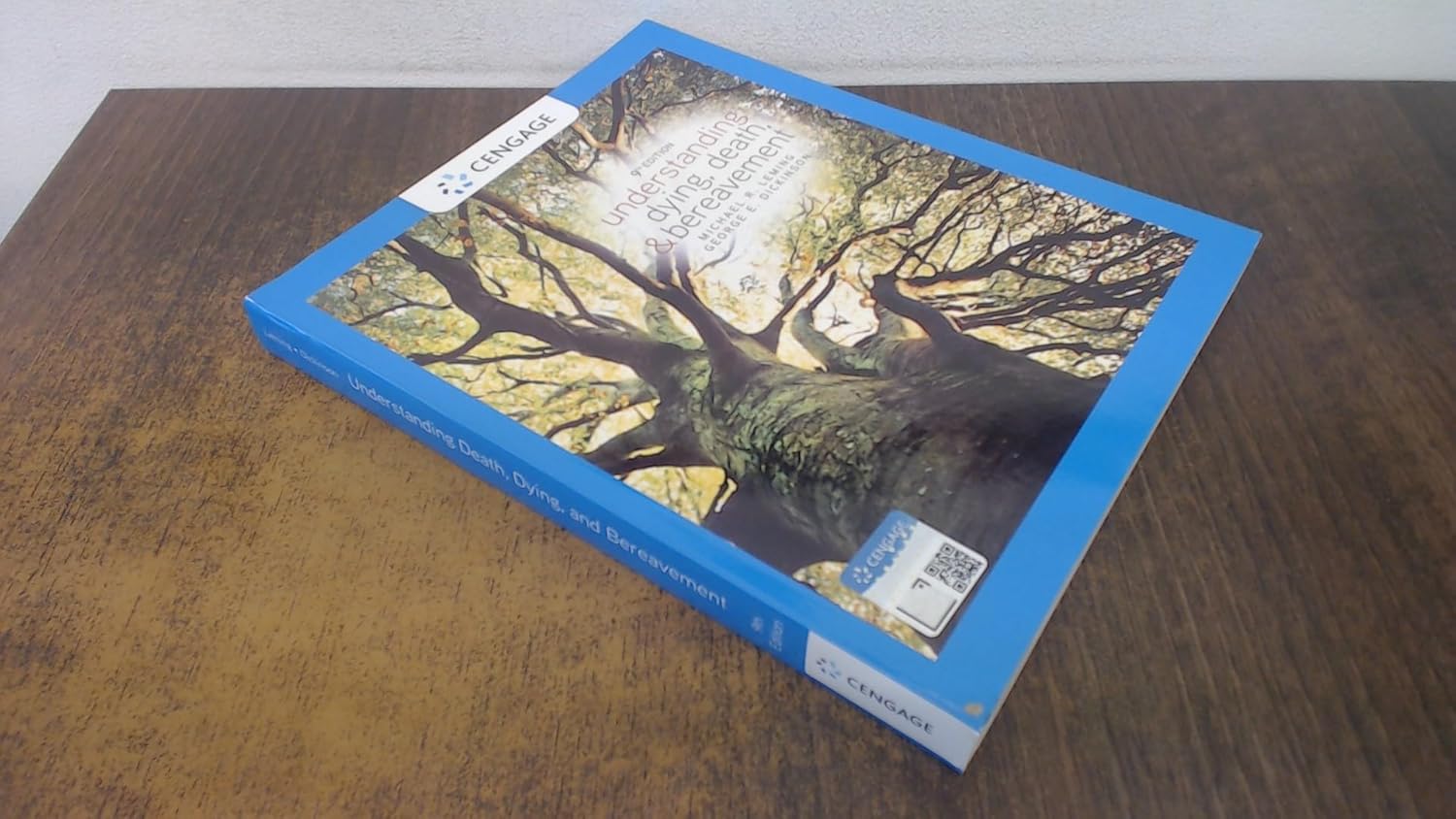 Understanding Dying, Death, and Bereavement 9th Edition