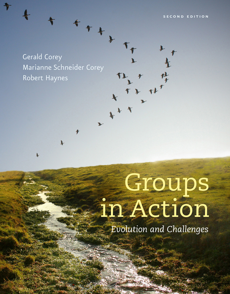Groups in Action: Evolution and Challenges Workbook, 2nd Edition 2nd Edition