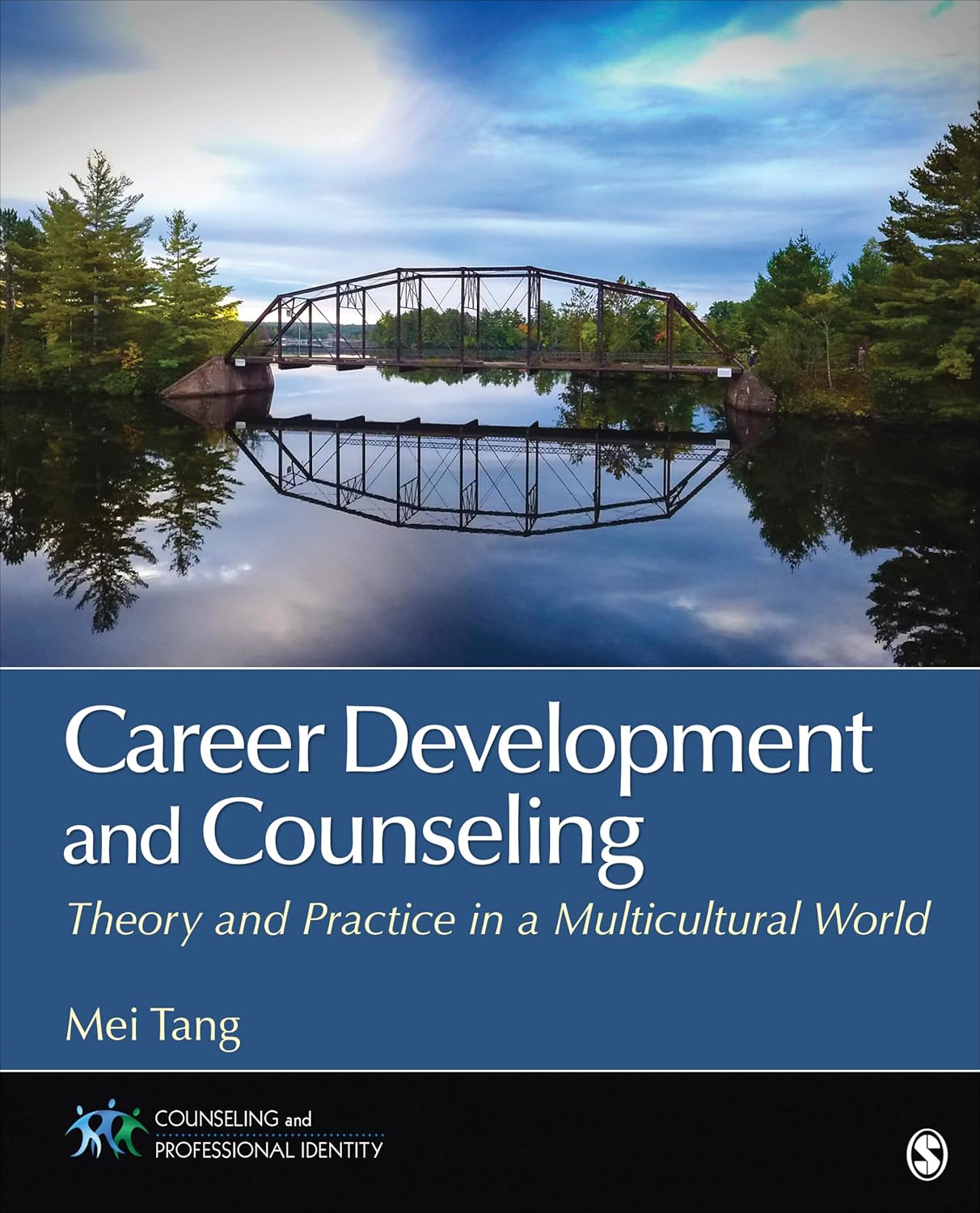 Career Development and Counseling: Theory and Practice in a Multicultural World 1st Edition