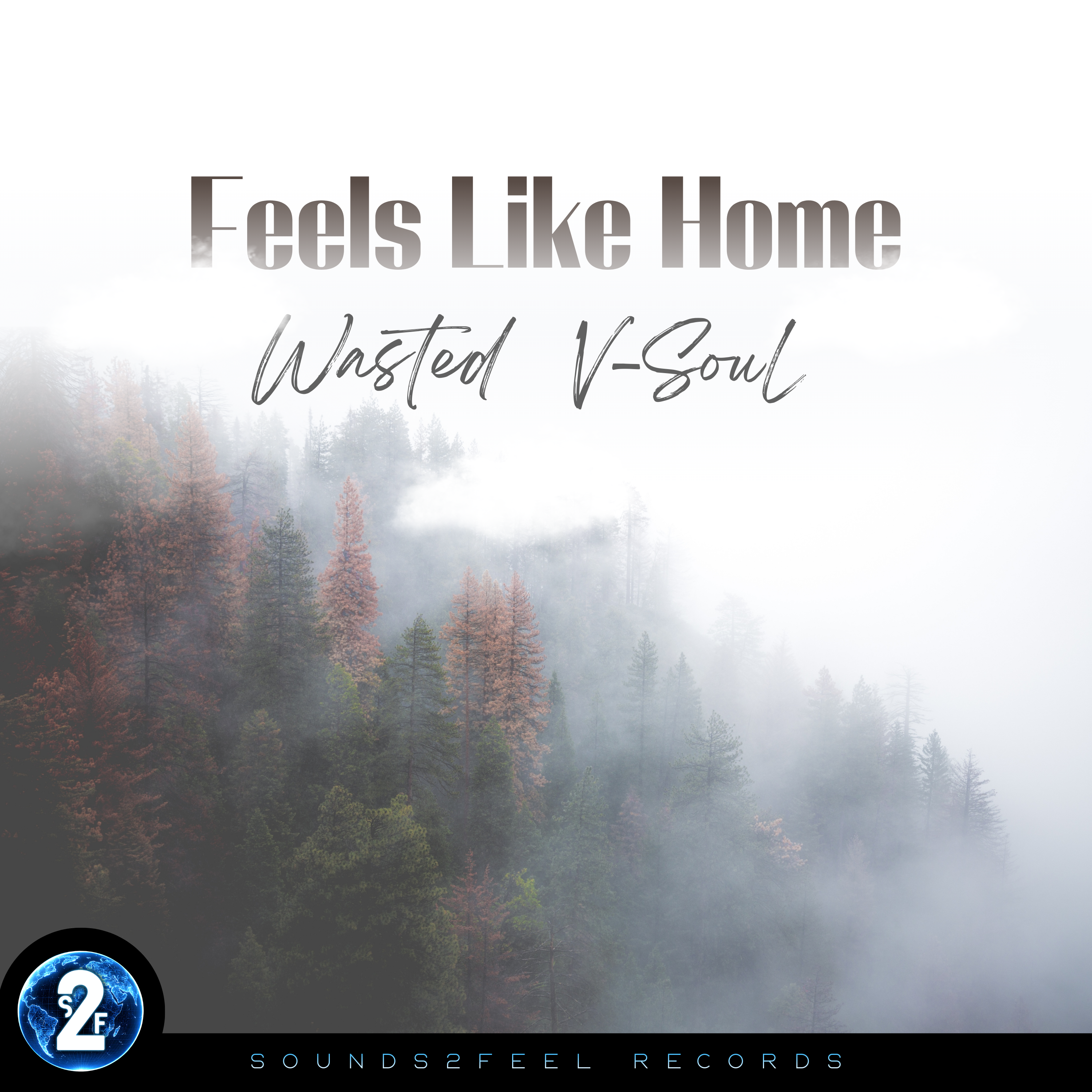 Wasted, V-SouL - Feels Like Home
