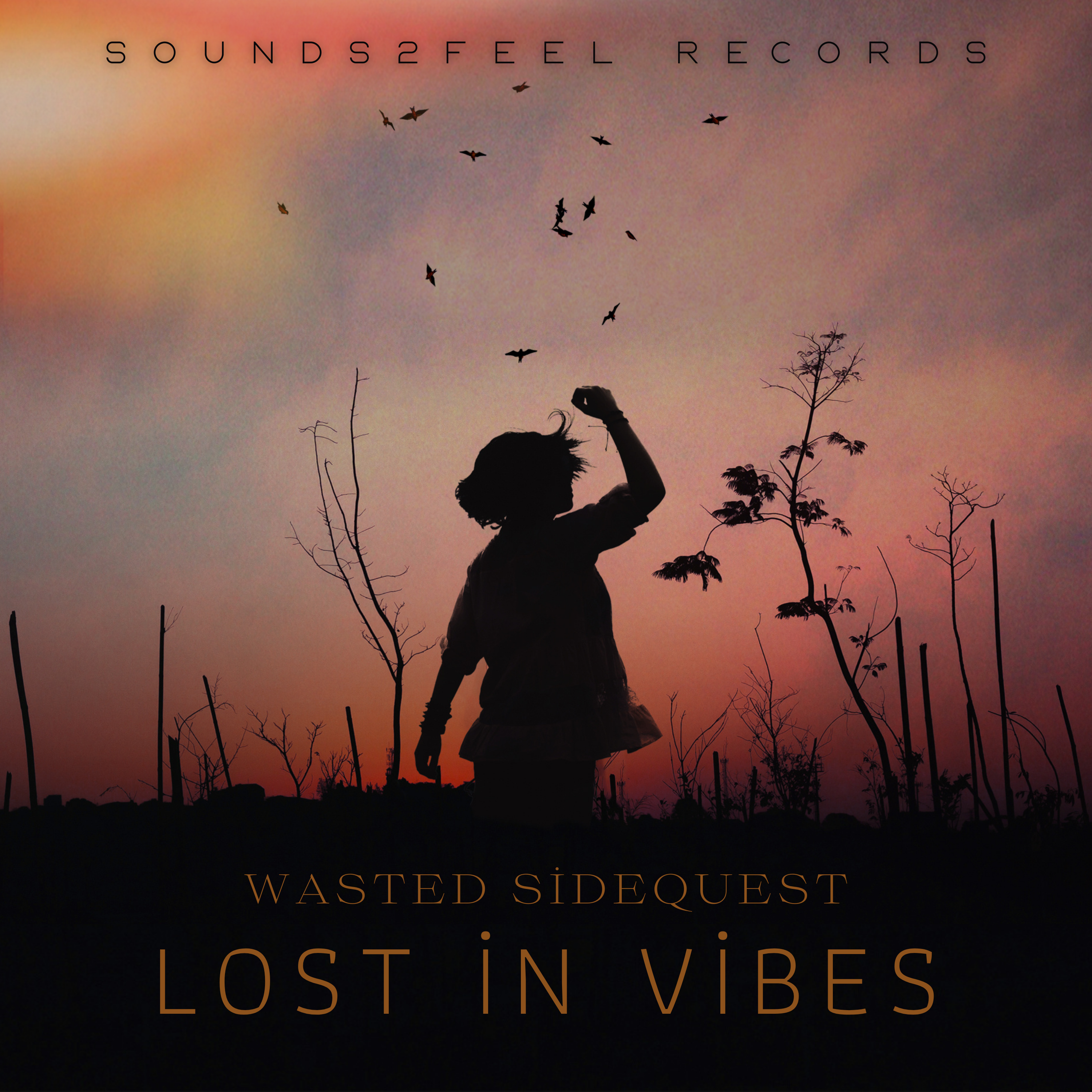 Wasted Sidequest - Lost In Vibes