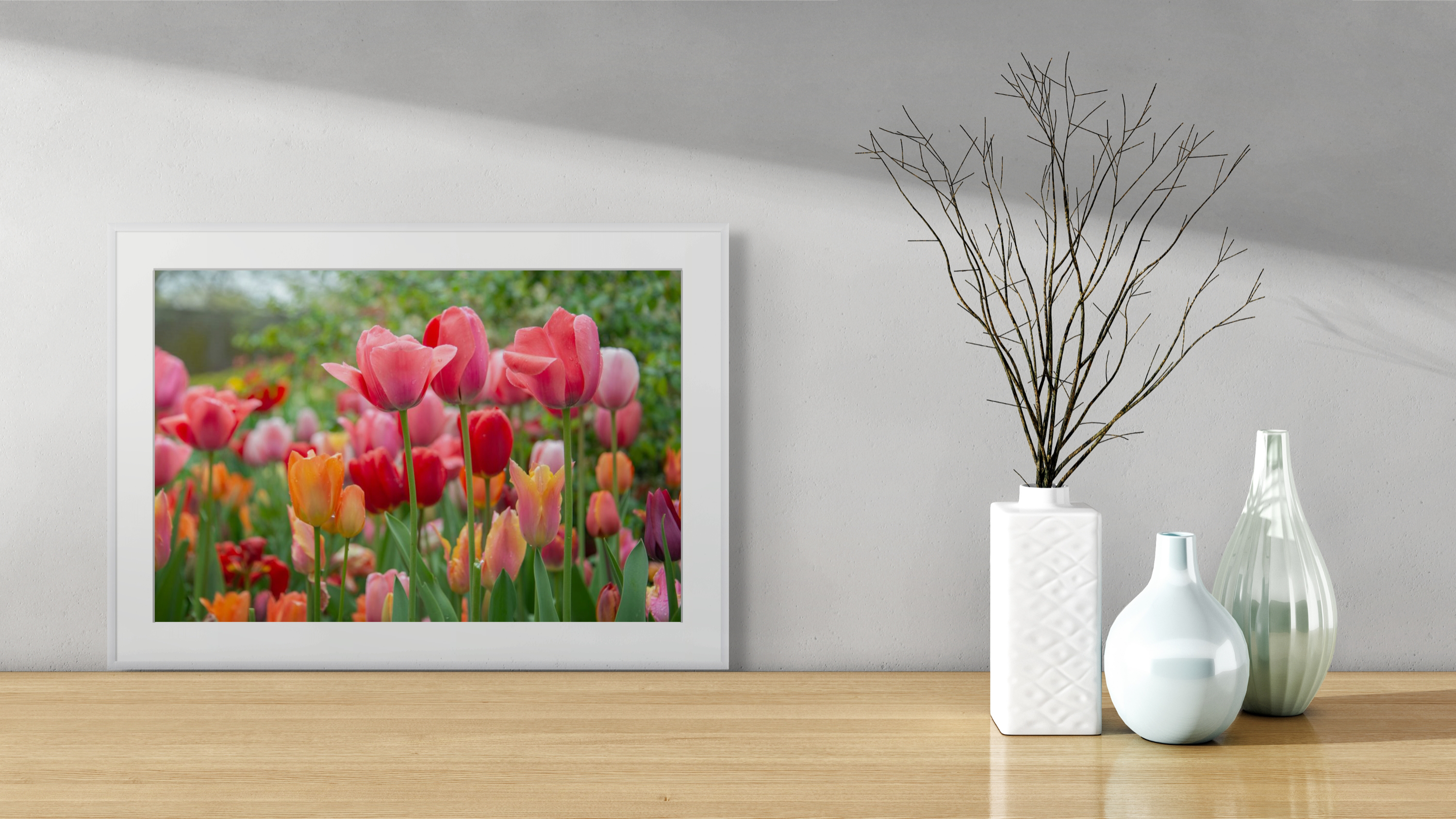 Towering Tulips, Flower Photography