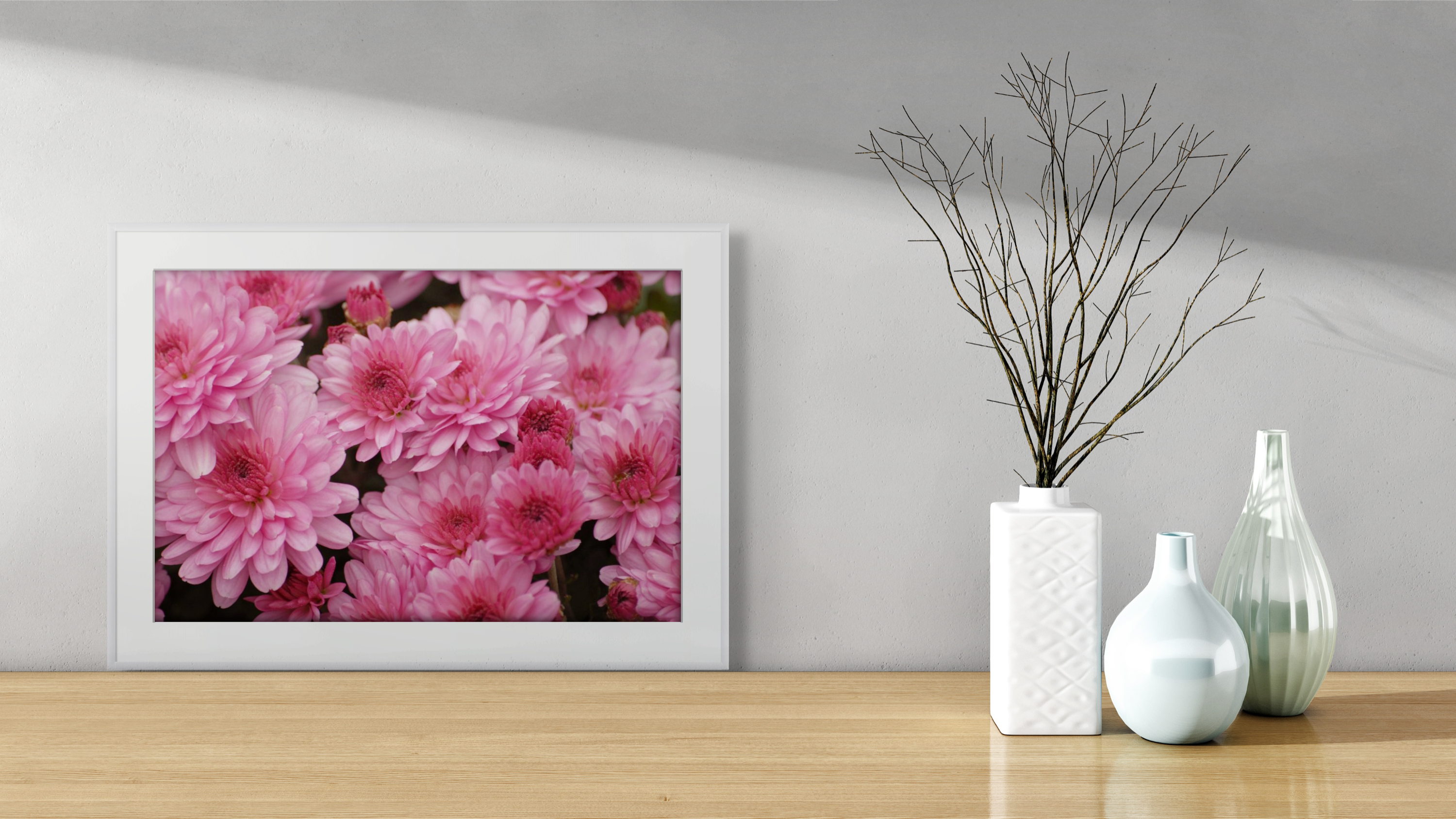 Glorious Mums, Flower Photography