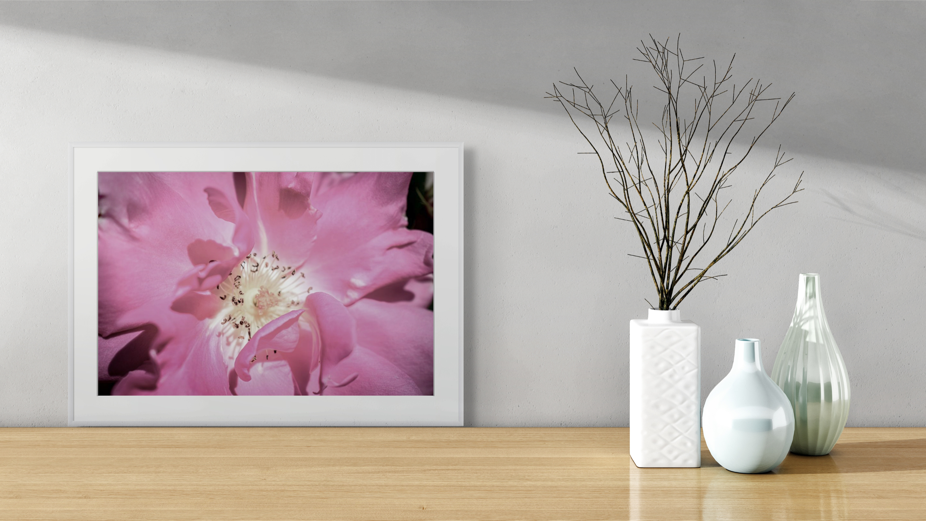 NN better writing The Vibrant Rose, Flower Photograph