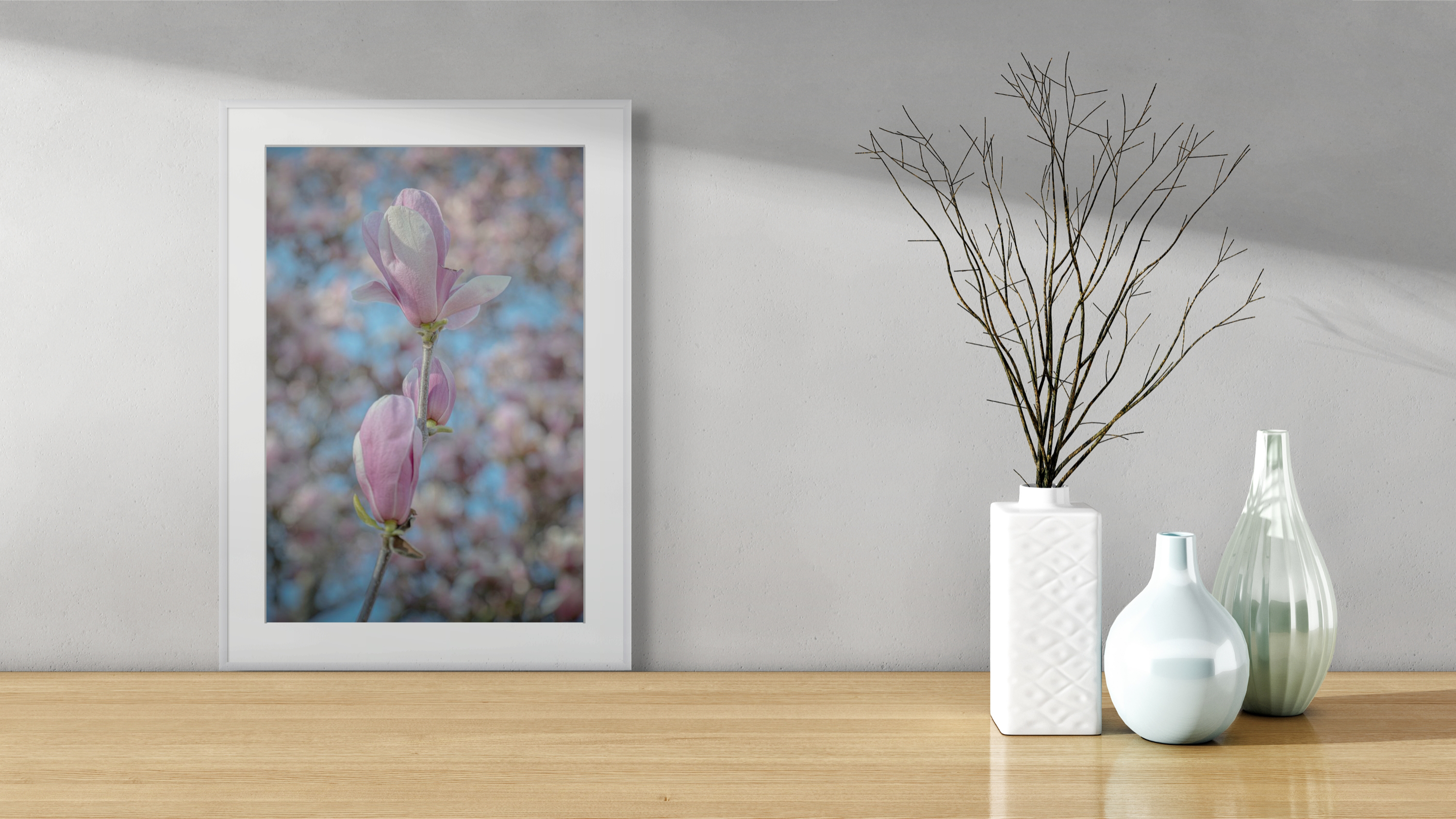 Spring Magnolia Blossoms in Central Park in New York City, Flower Photograph