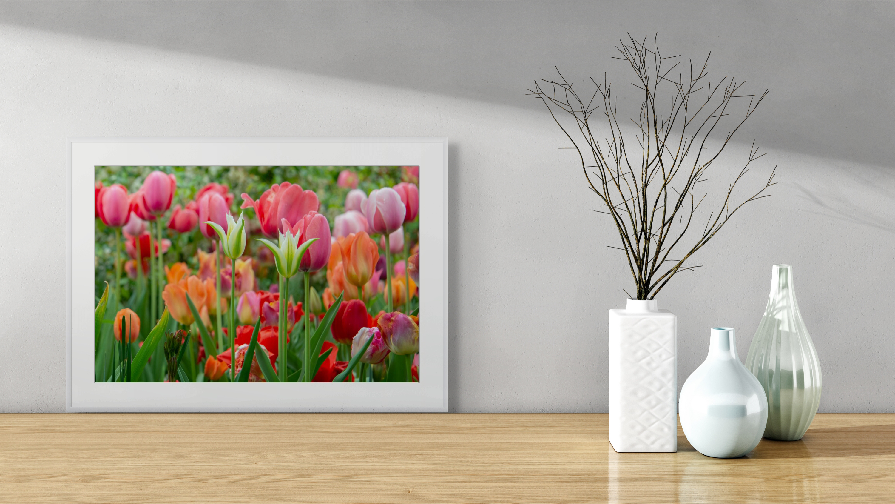 The Tulips of Shakespeare, Garden Photograph