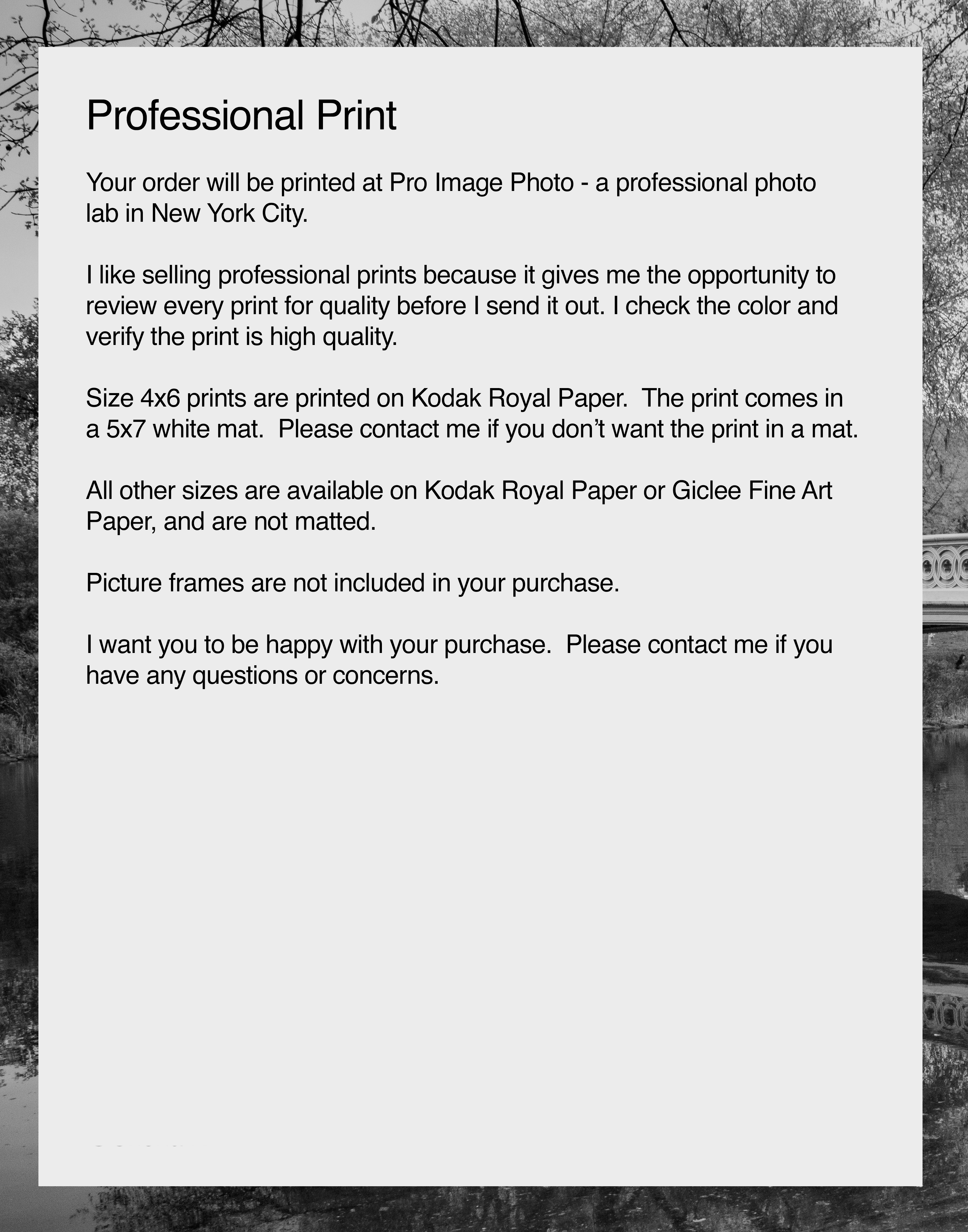 New York City Central Park Bow Bridge Print | Stylish Urban Wall Decor | Gift for City Lovers