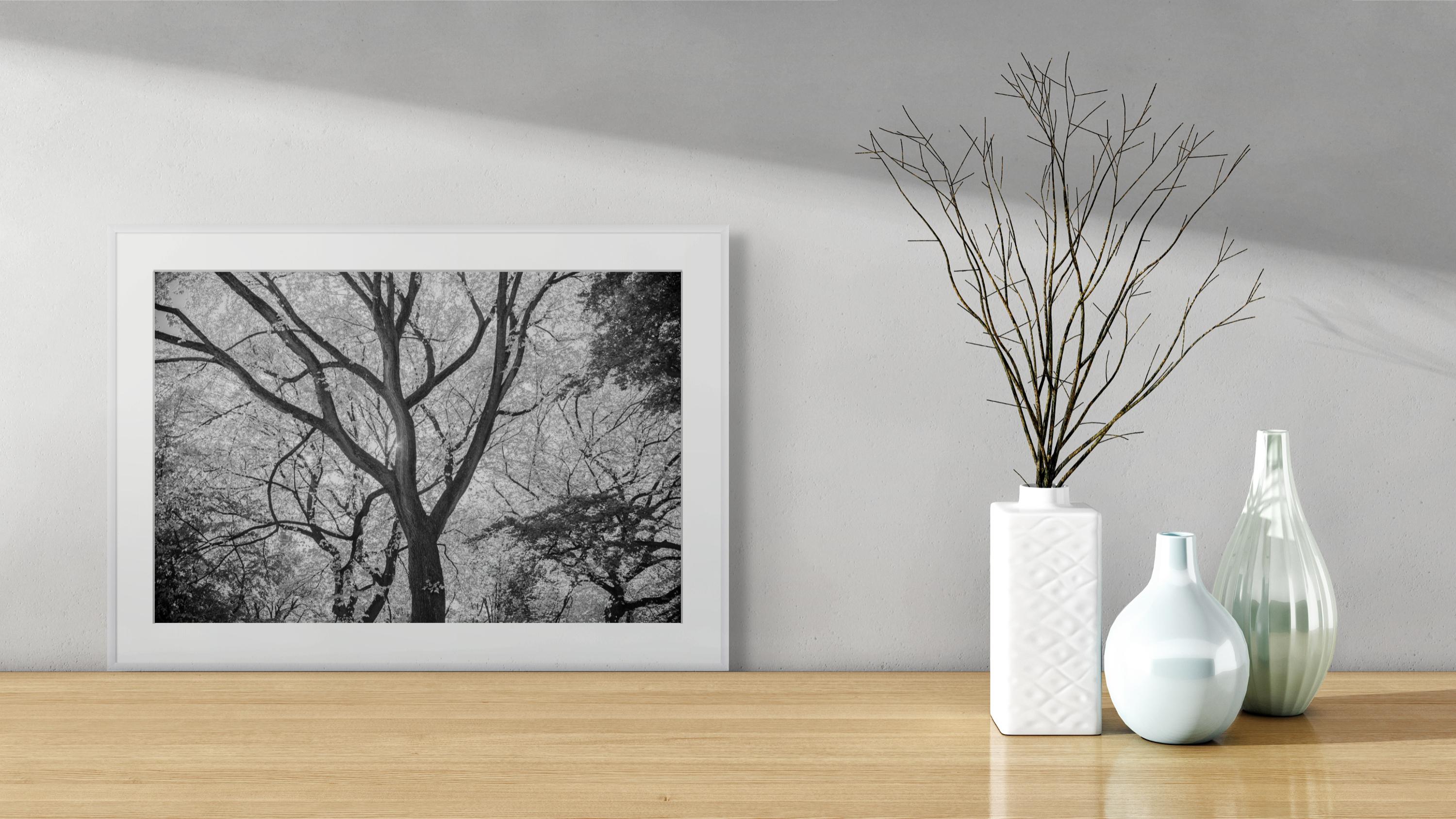 Majestic B&W Tree in Central Park – Digital Download | Woodland Photo | Botanical Wall Art | Nature Photography for Home or Office Décor