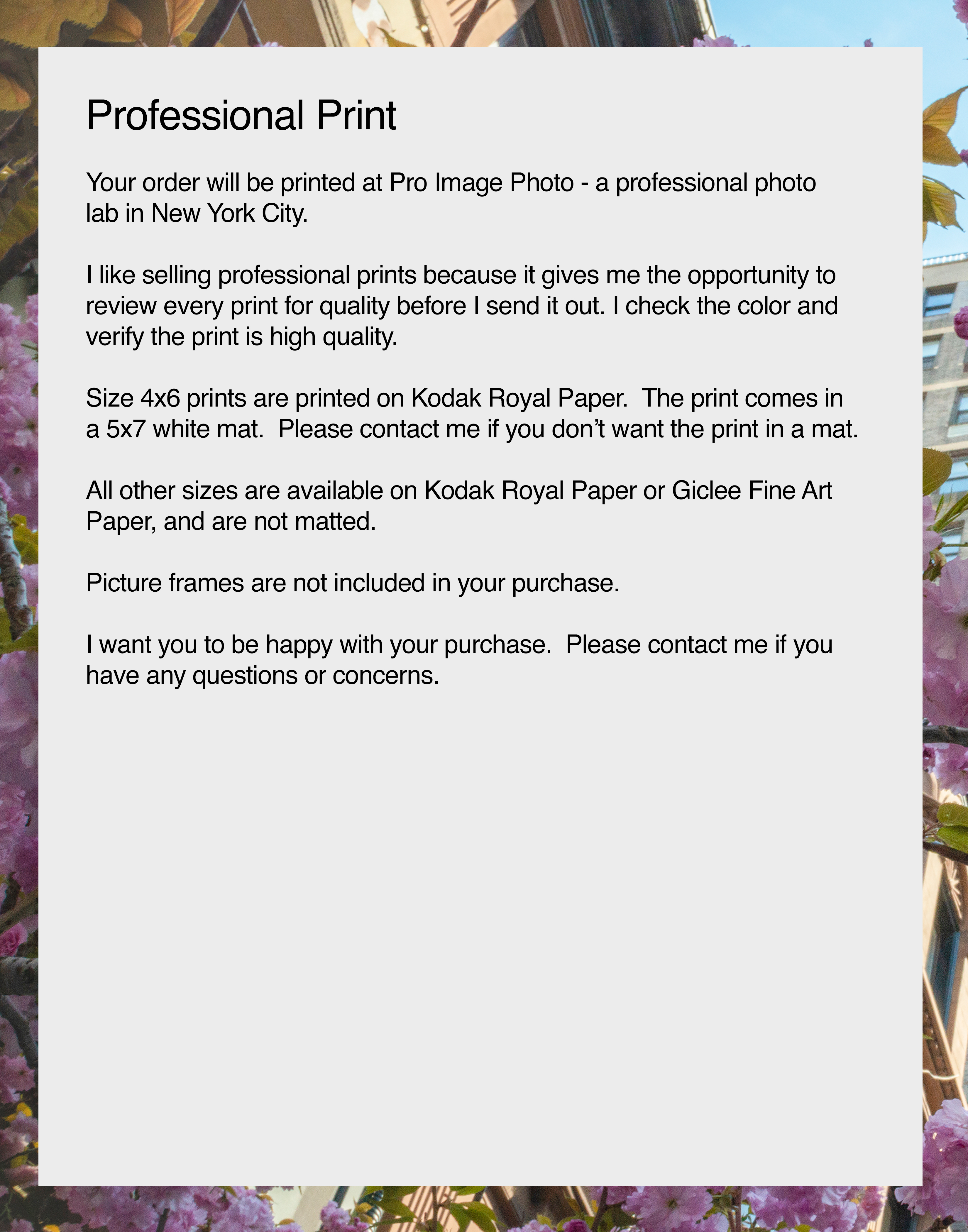 NN better writing Sun Flare on West 83rd, Street Photograph 