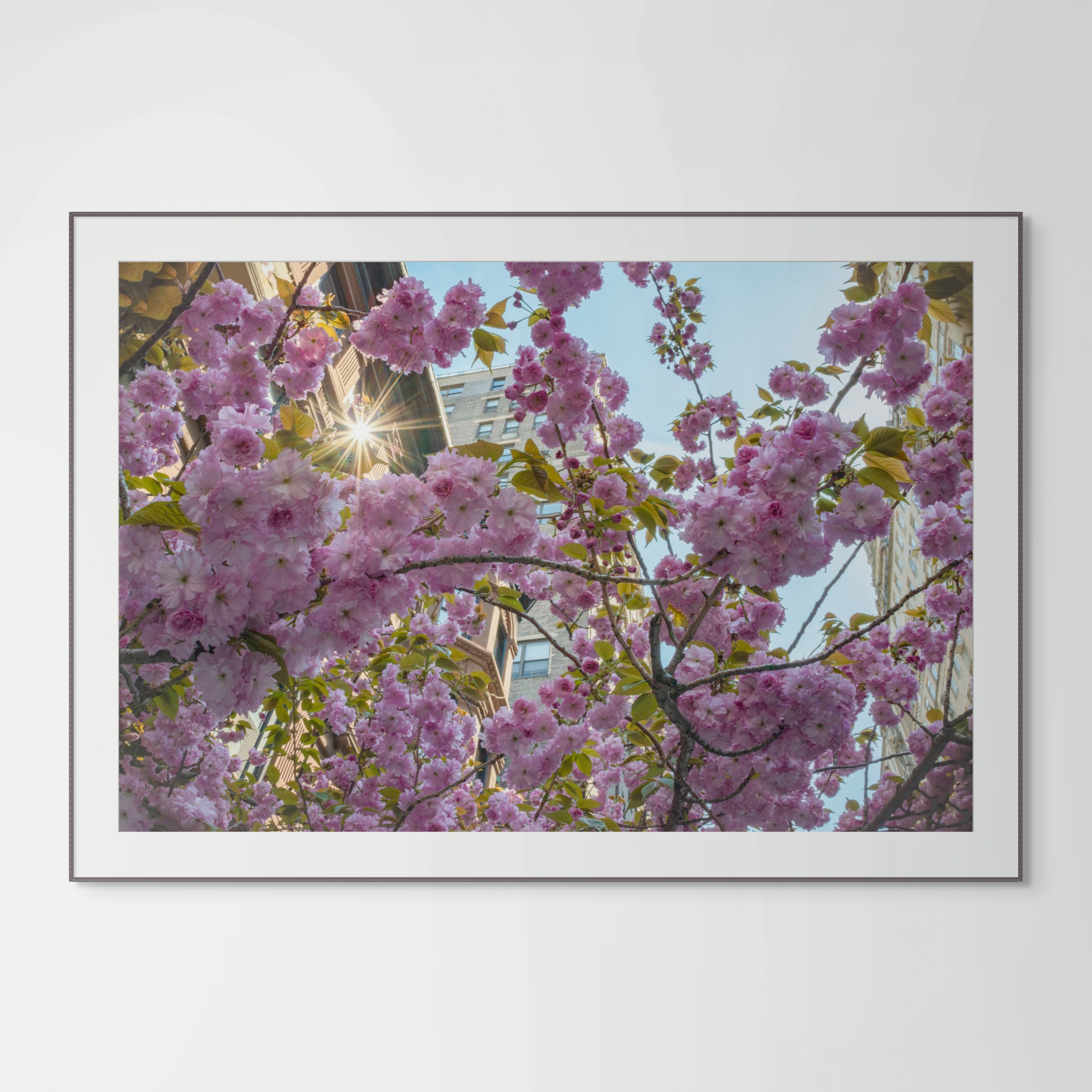 NN better writing Sun Flare on West 83rd, Street Photograph