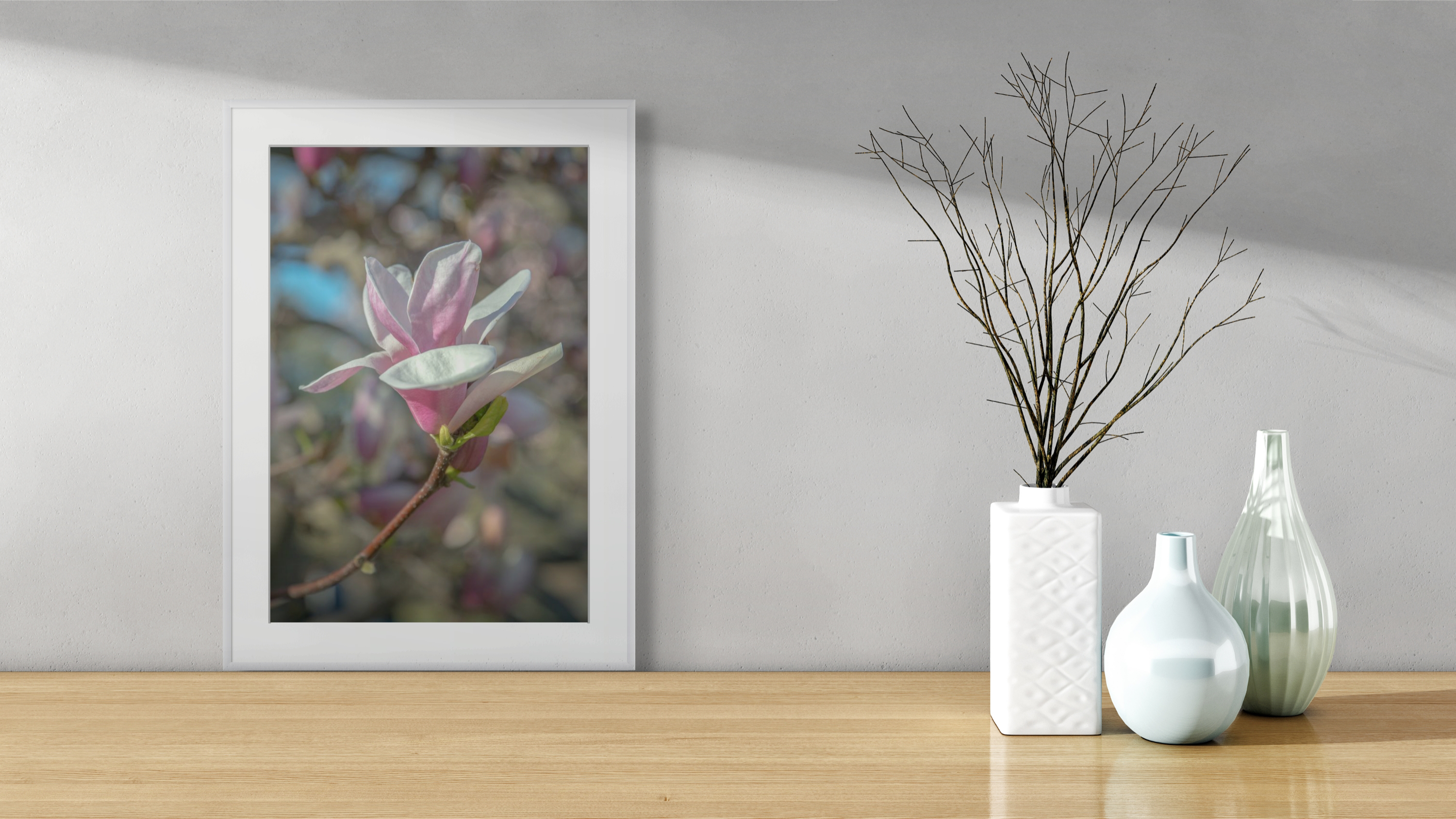 Central Park Magnolia, Flower Photograph