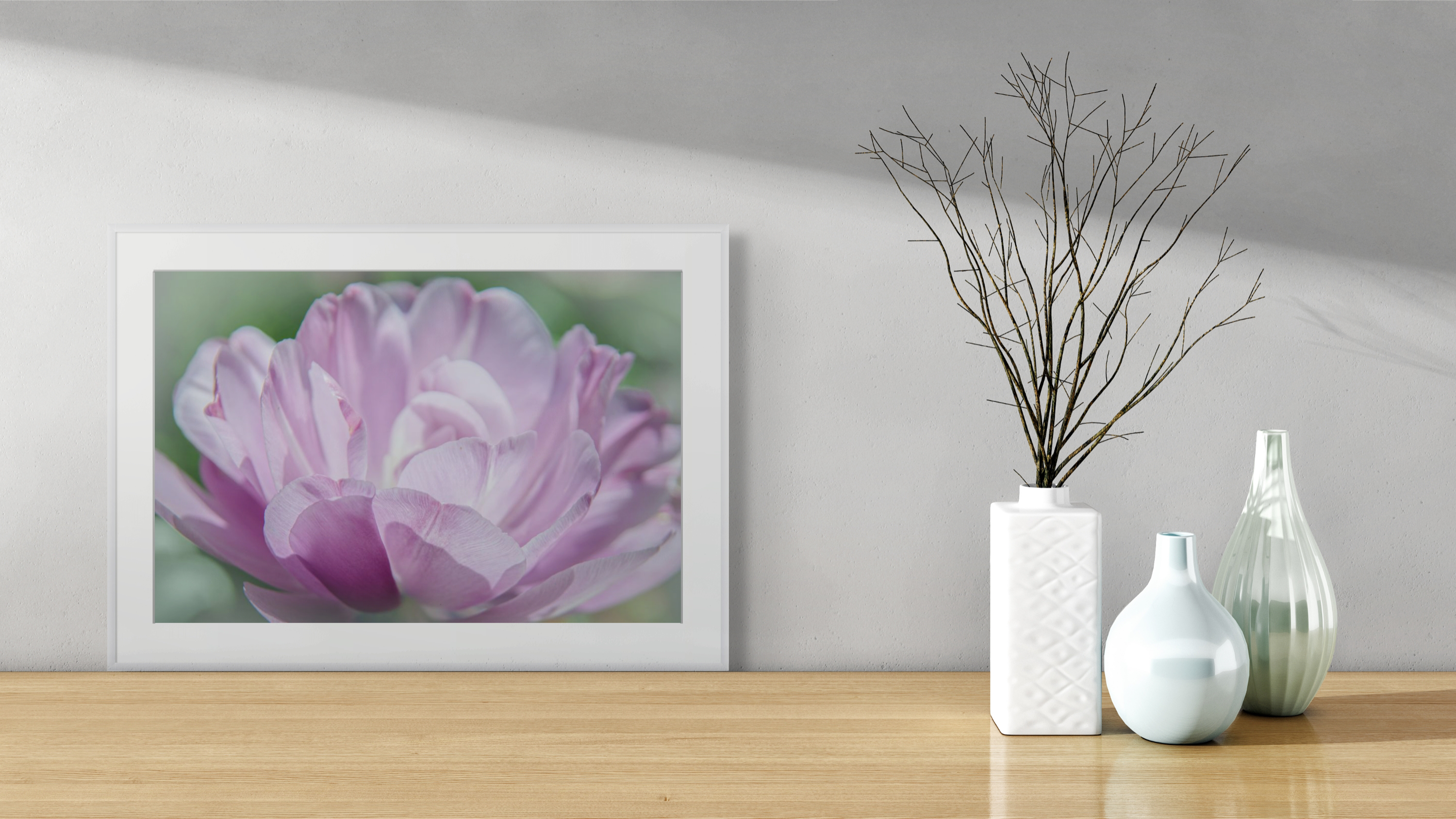 Close-up Purple Petals, Flower Photograph