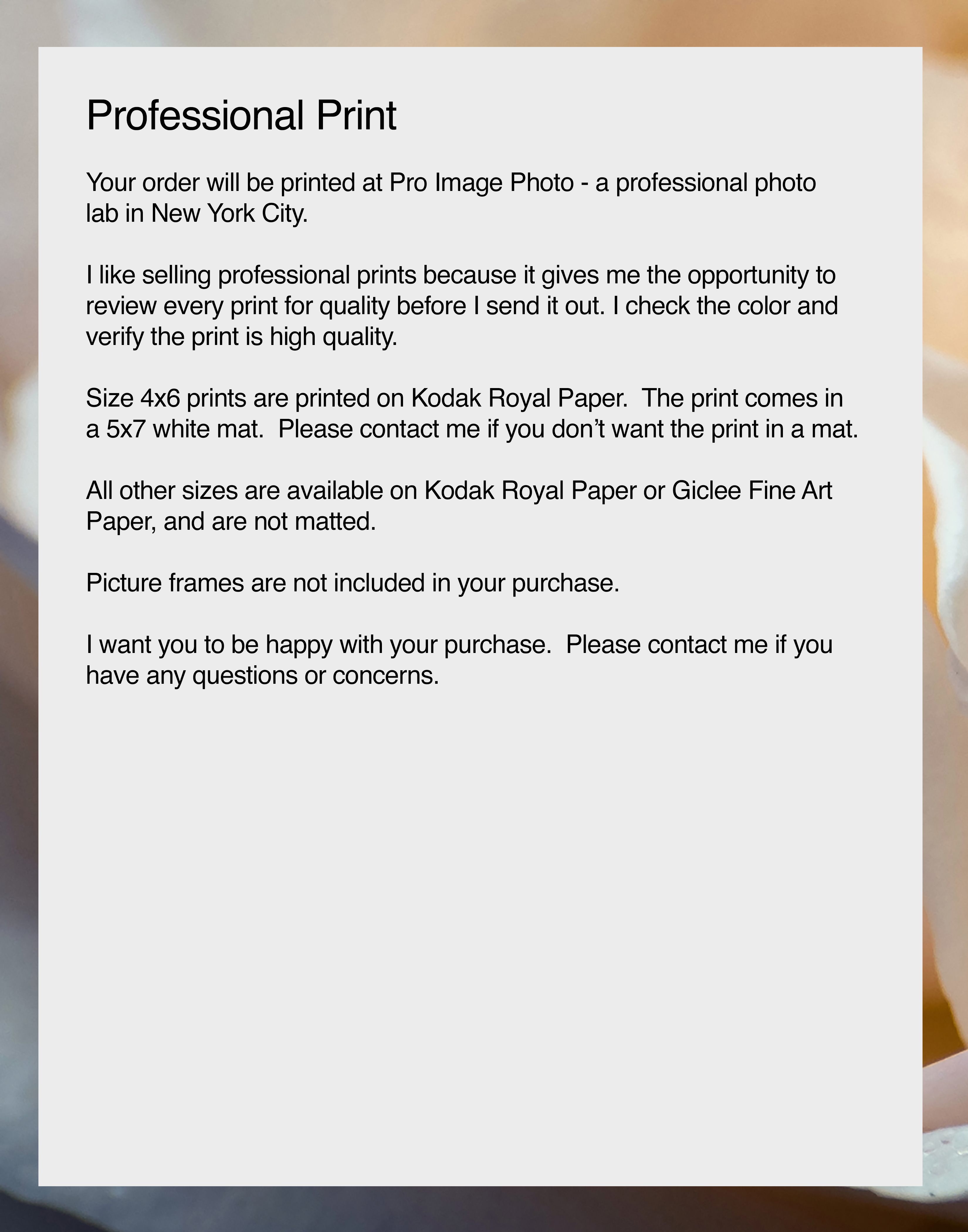 NN Better Writing. Petals of Peach, Flower Photograph