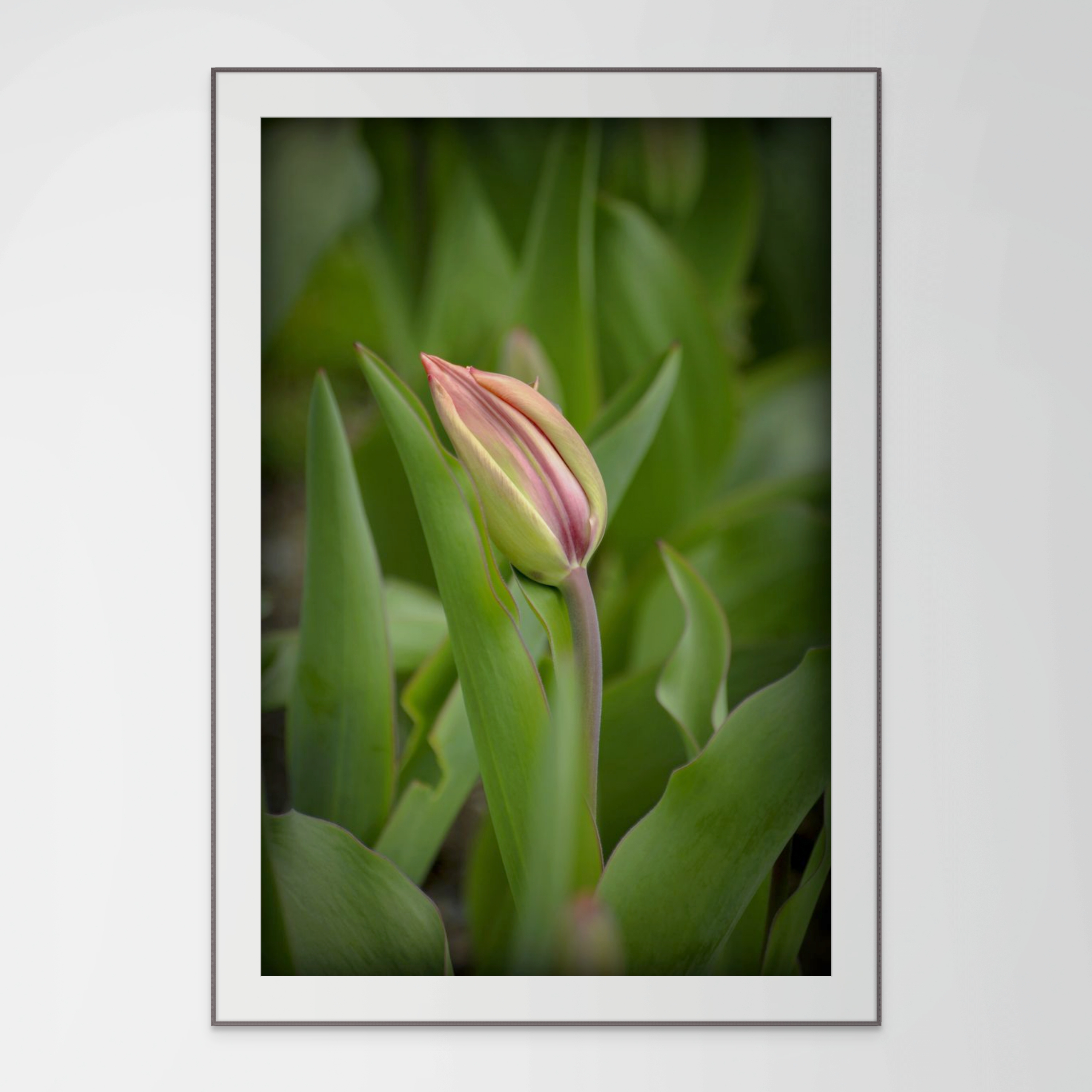 NN Better Writing   Look Away, Flower Photograph