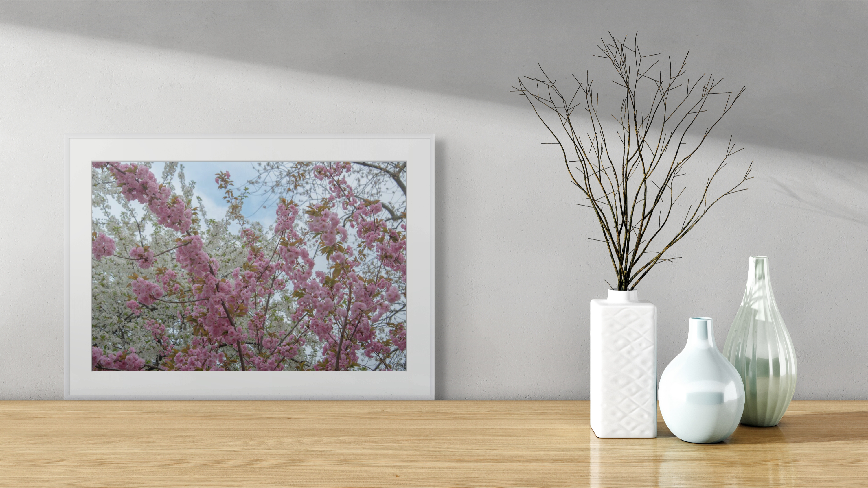 NN better writing Cherry Blossoms of New York, Flower Photograph