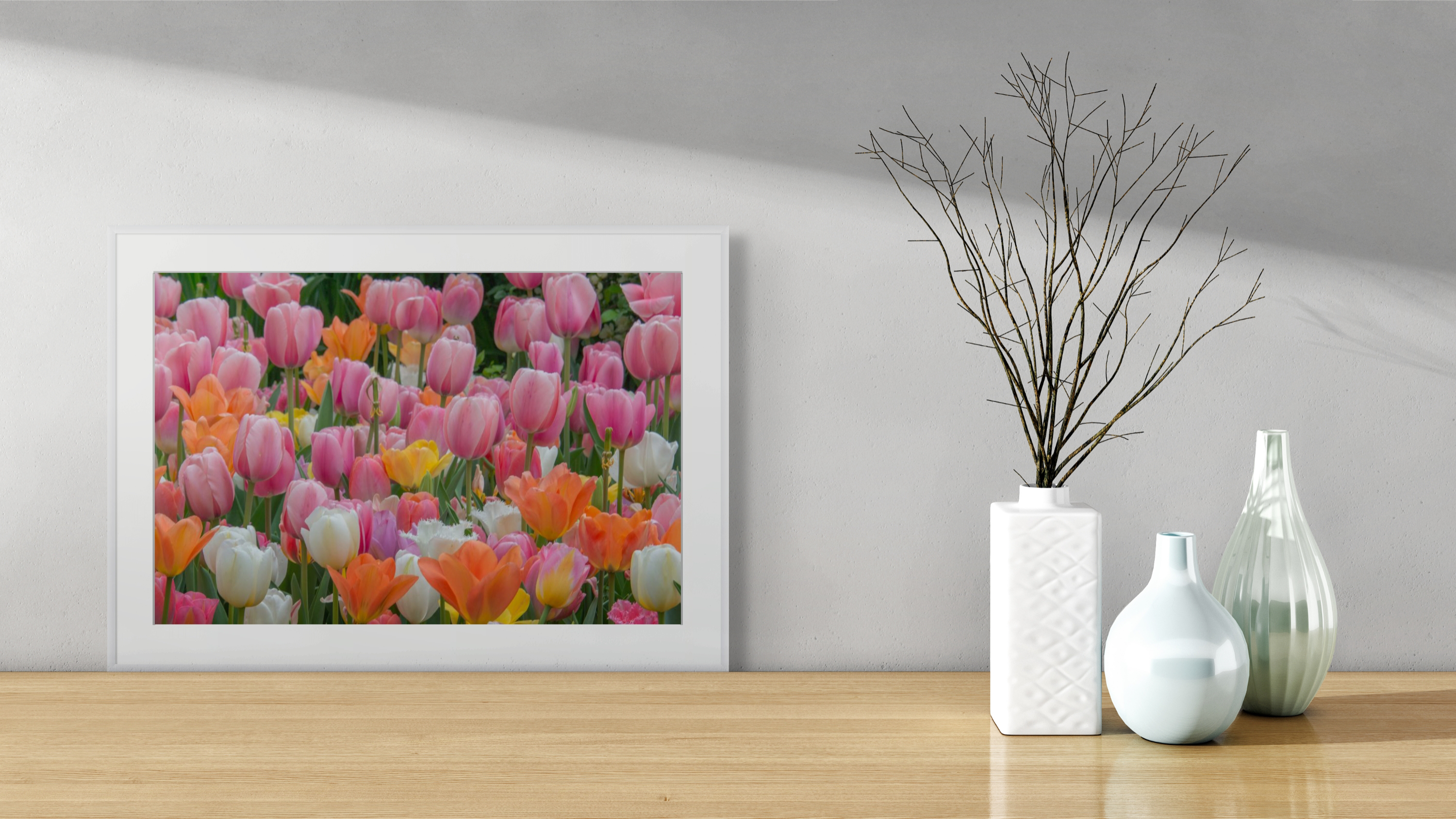NN Better Writing.   Dance of the Tulips, Garden Photograph
