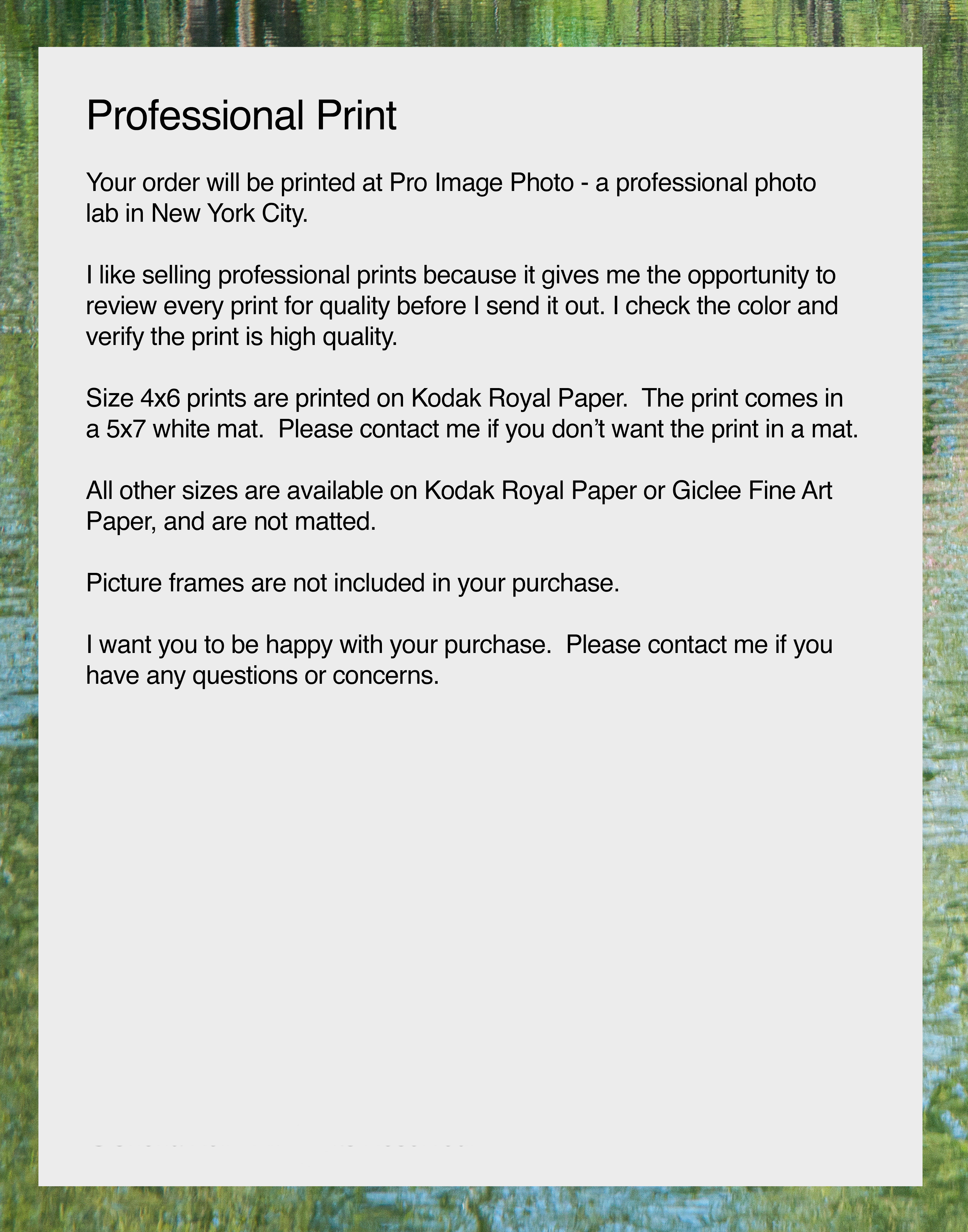 Springtime Tree Reflections in Water, Nature Photograph