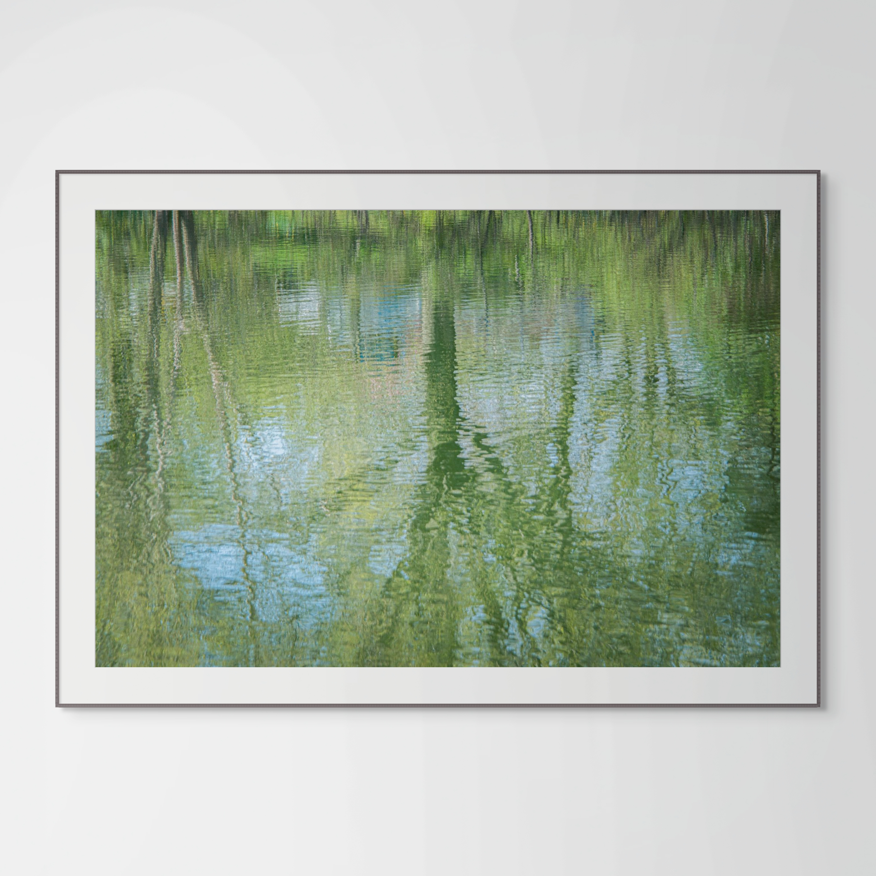 Springtime Tree Reflections in Water, Nature Photograph