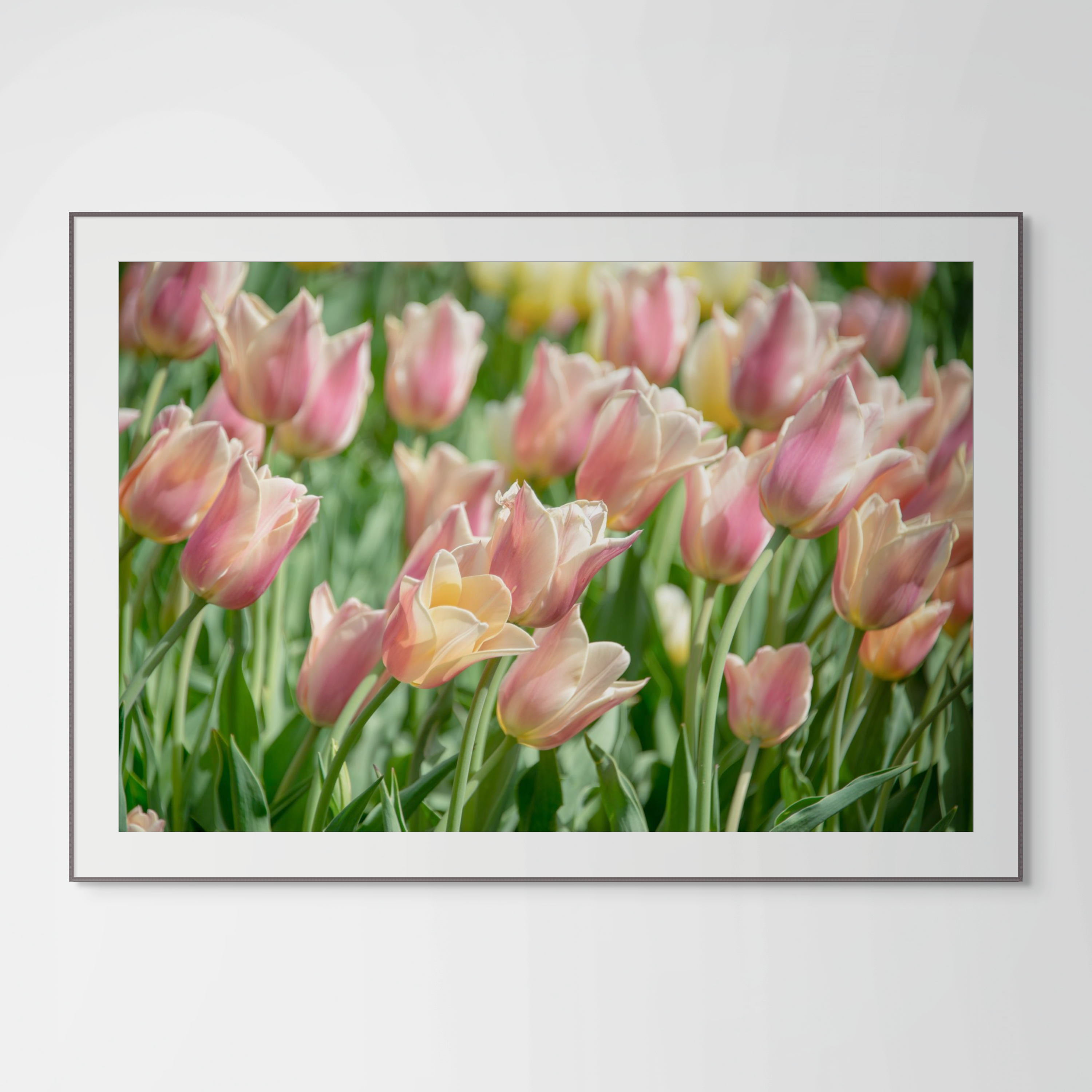 NN Better Writing.   Lean In, Garden Photograph