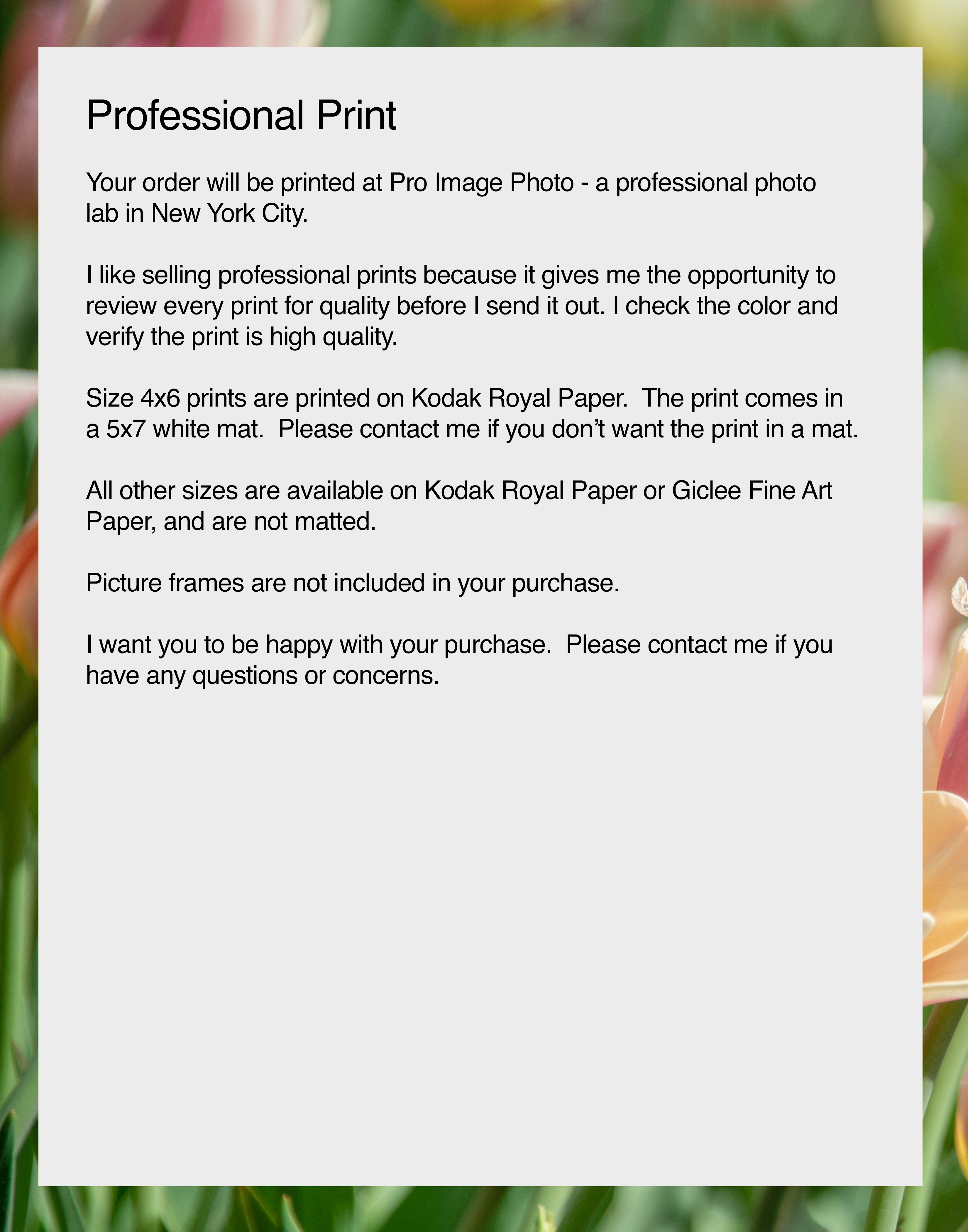 NN Better Writing.   Lean In, Garden Photograph