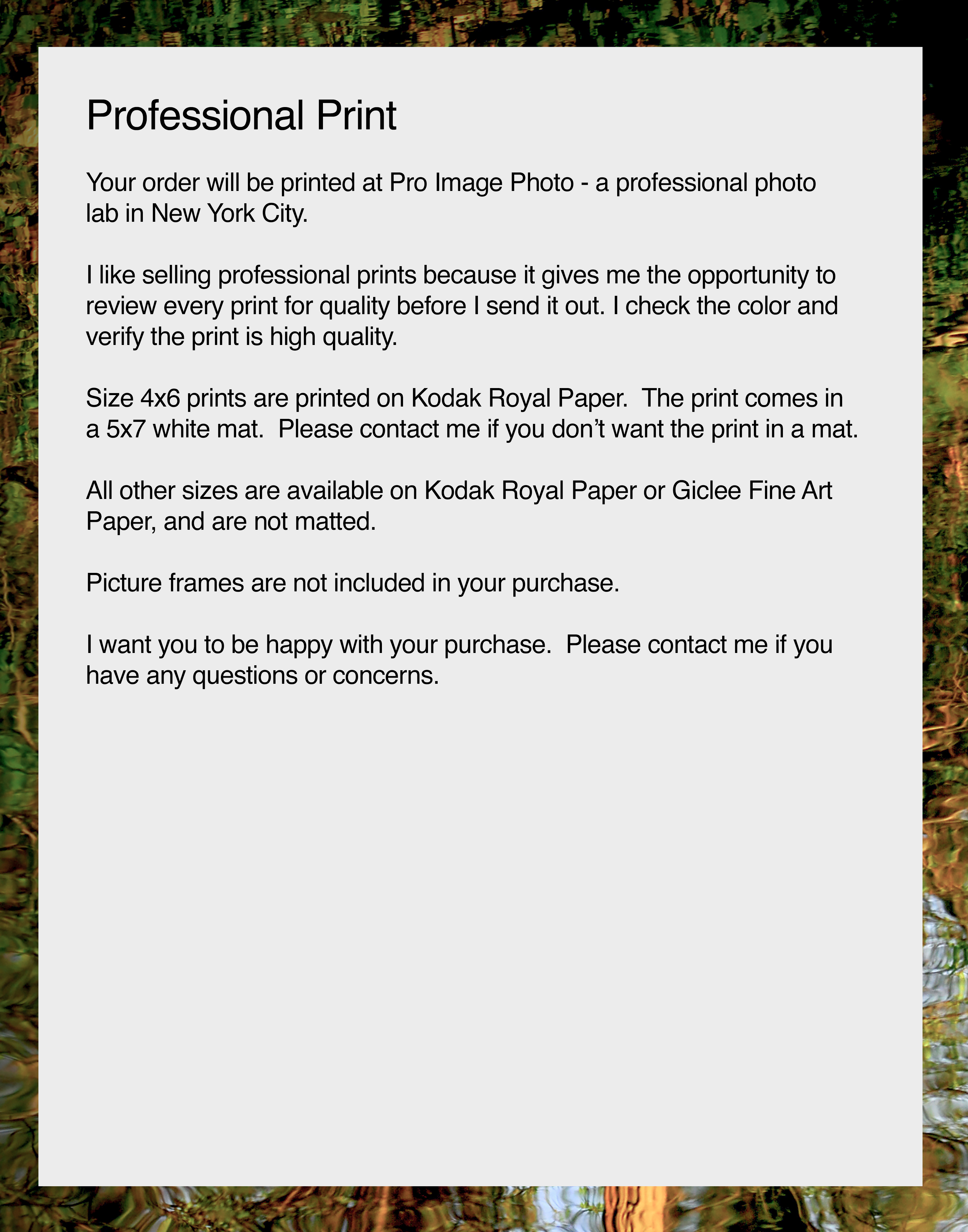 Sunset Tree Reflections in Water, Nature Photograph