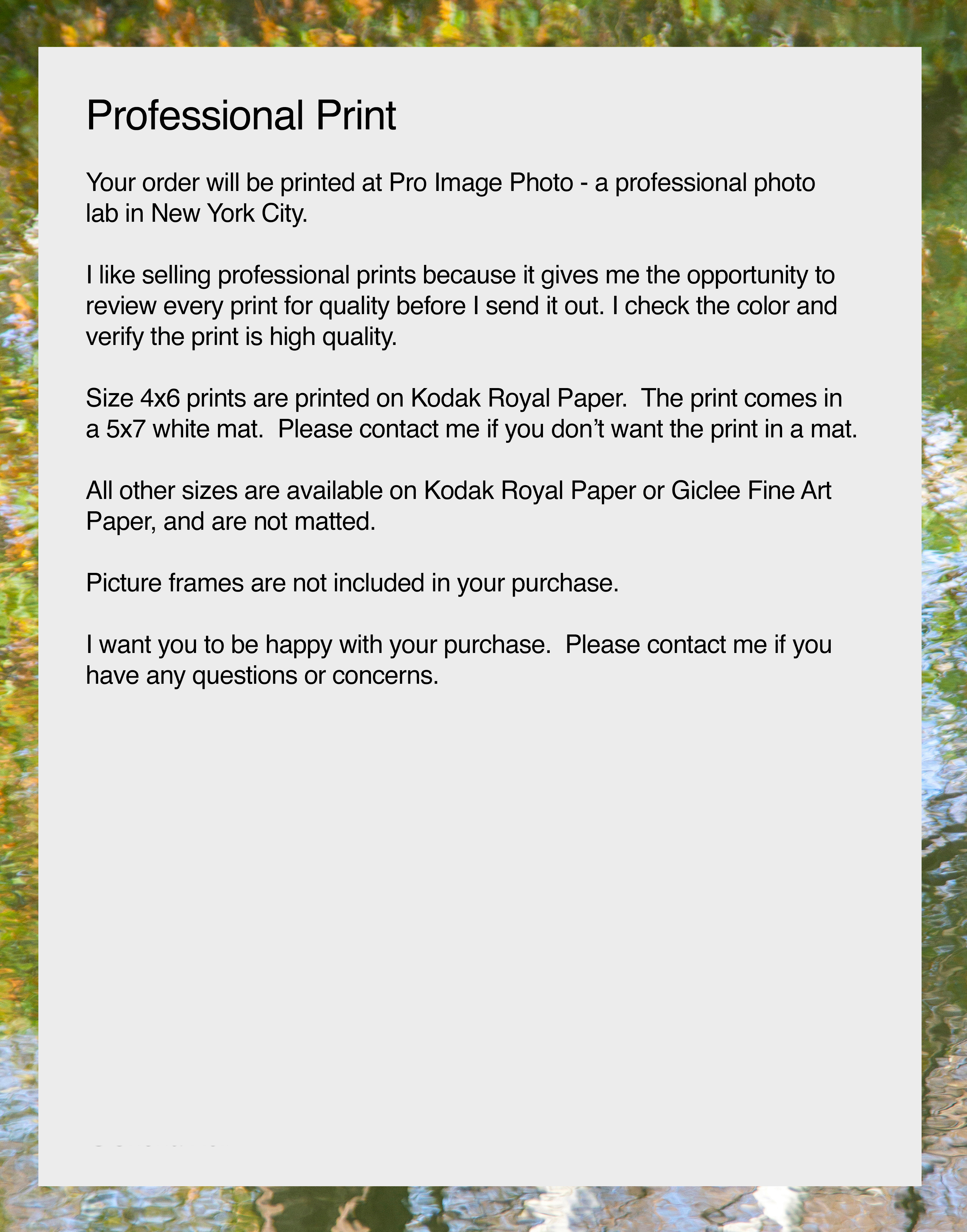 NN Different Writing (This is already in another listing)   Tree Reflection in Water, Nature Photograph