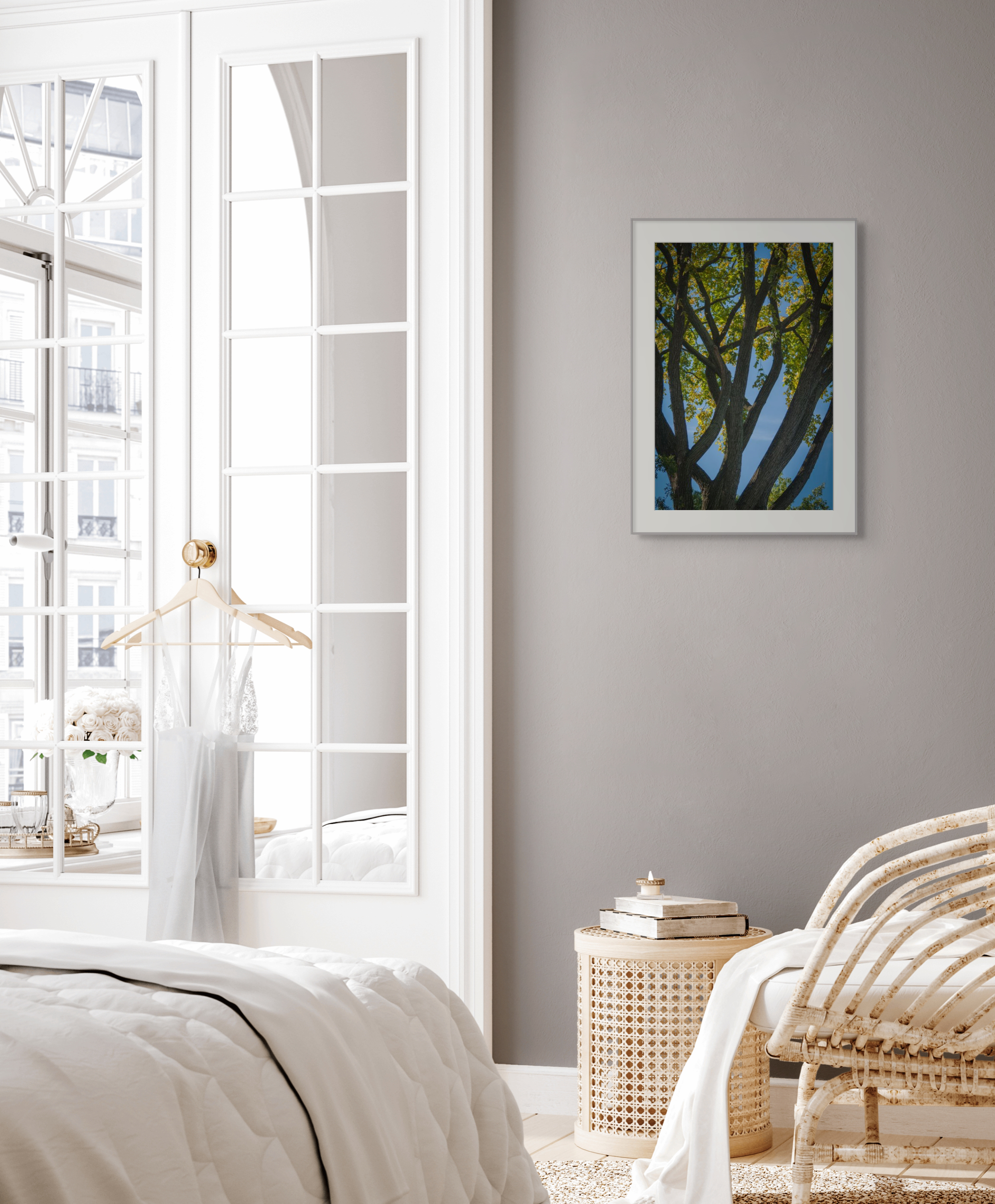 NN Better Writing.    Branches Mingle in Central Park, Nature Photograph