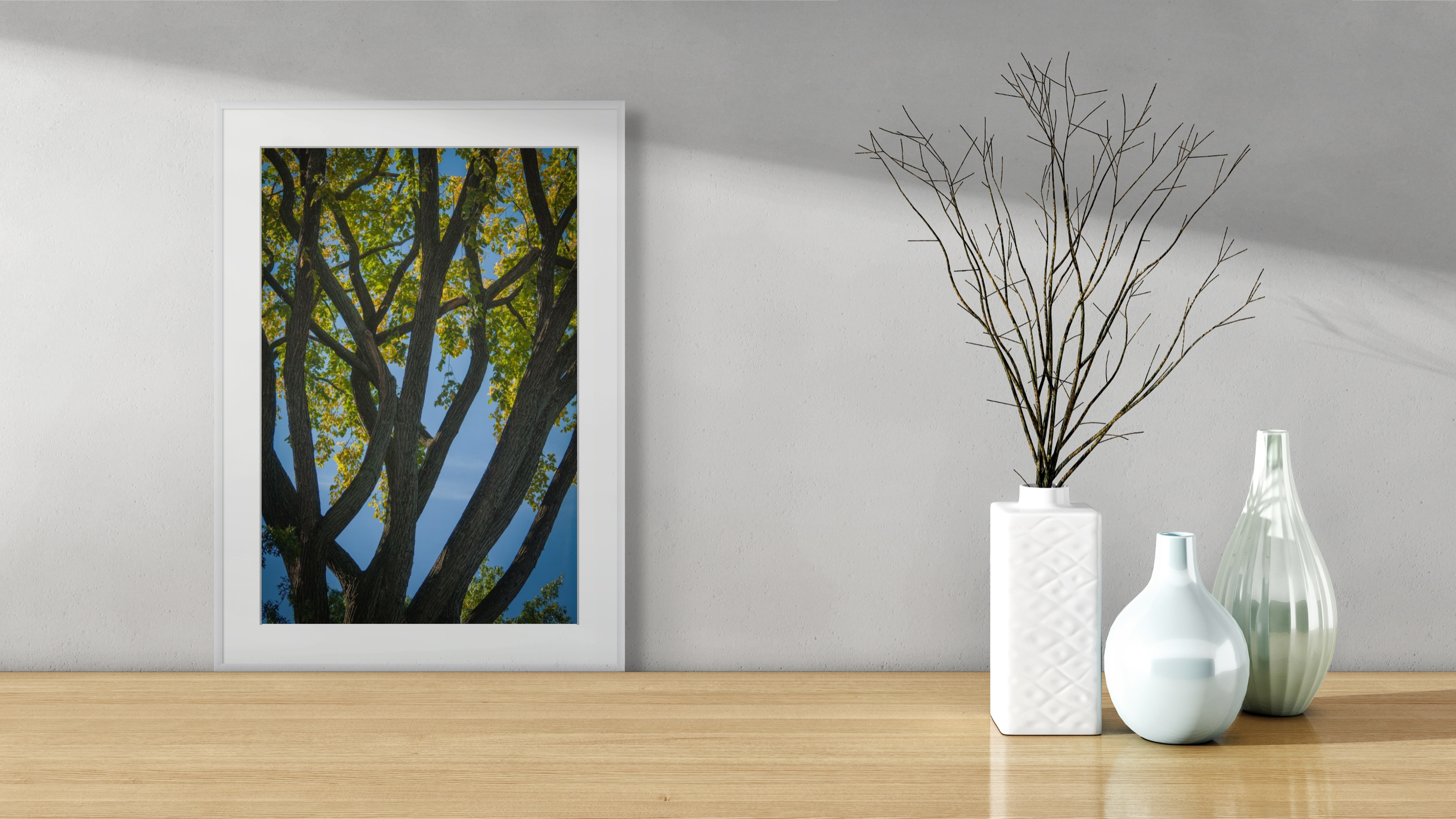 NN Better Writing.    Branches Mingle in Central Park, Nature Photograph