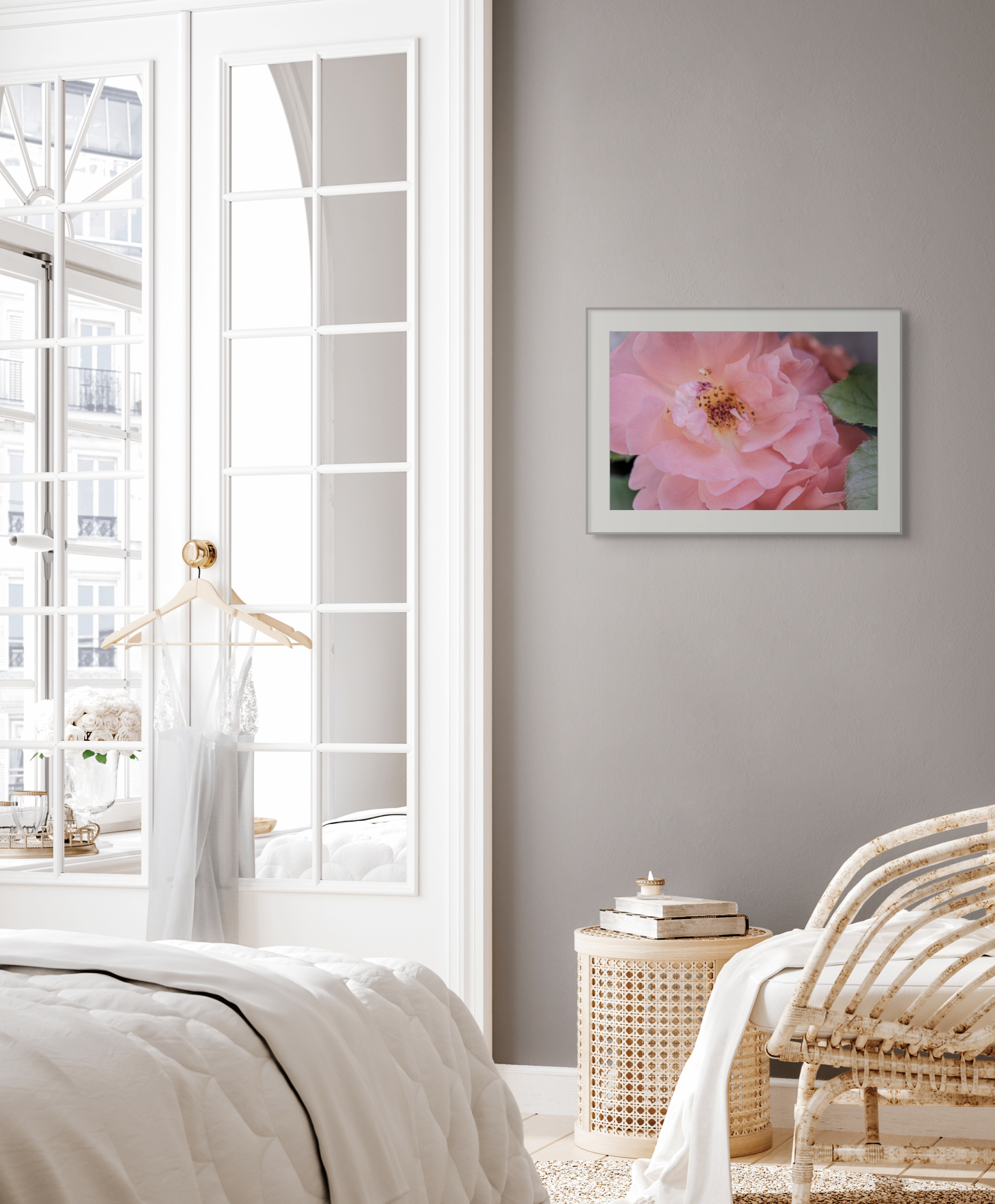 NN better writing The Gentle Day, Flower Photograph