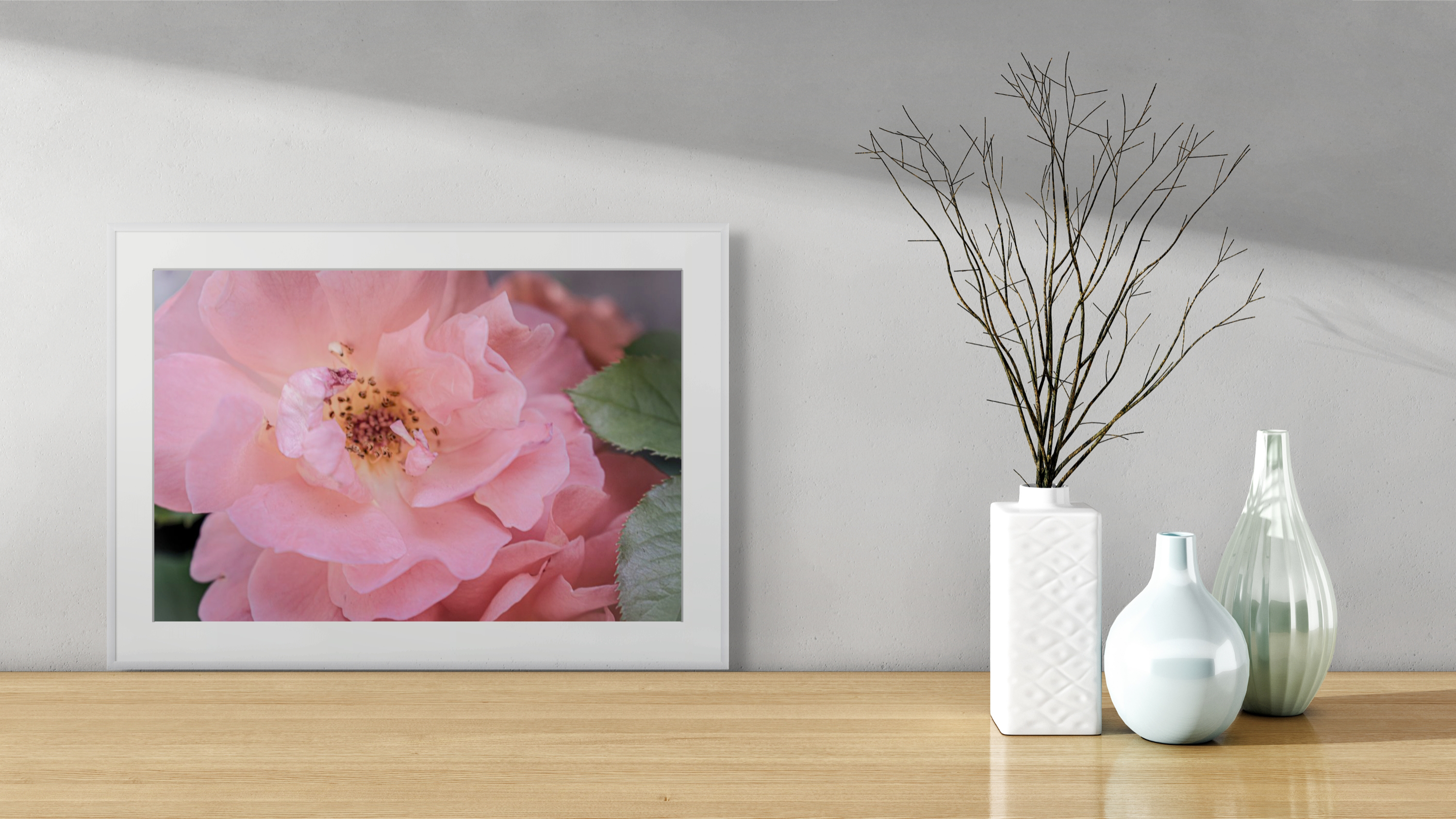 NN better writing The Gentle Day, Flower Photograph