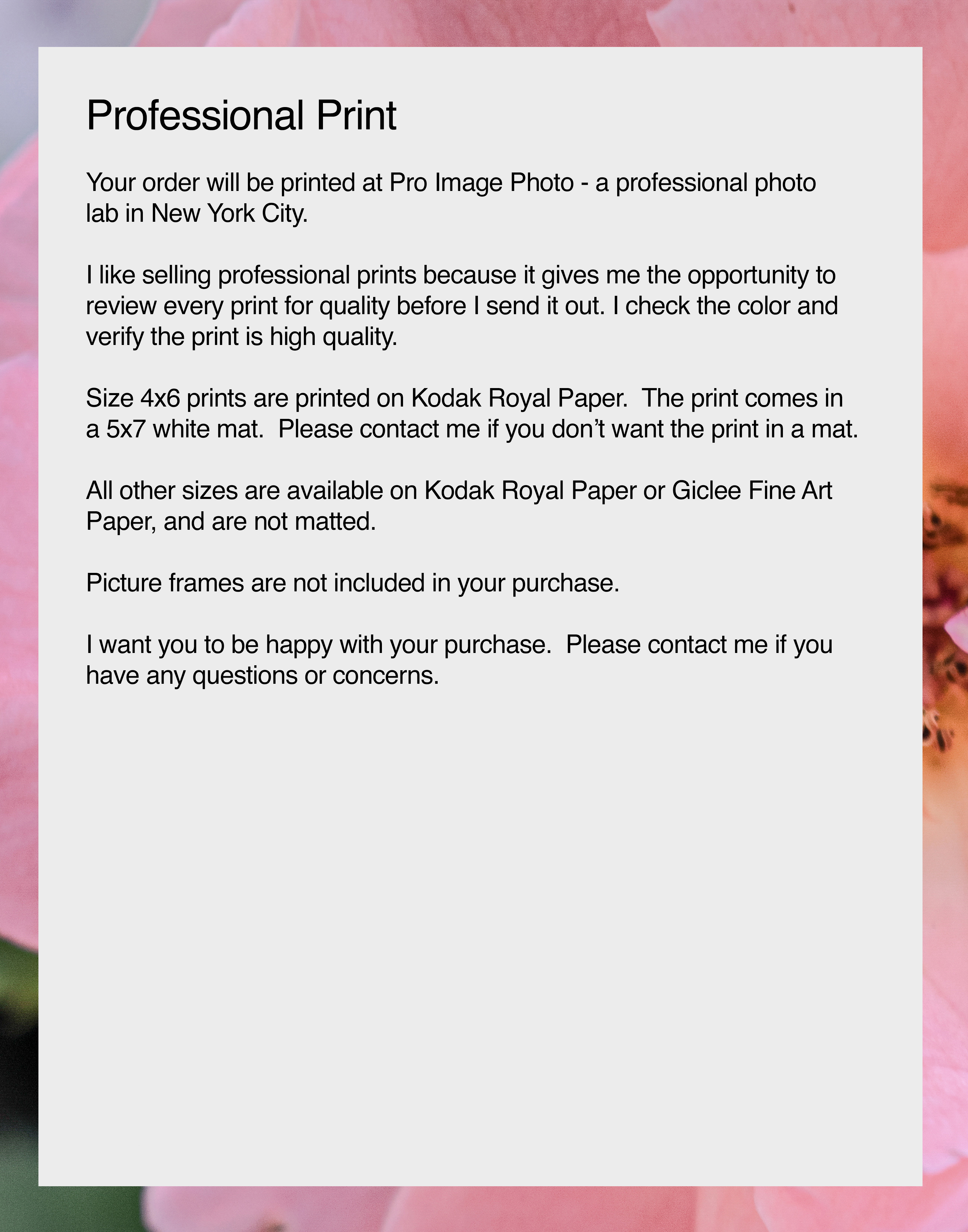 NN better writing The Gentle Day, Flower Photograph