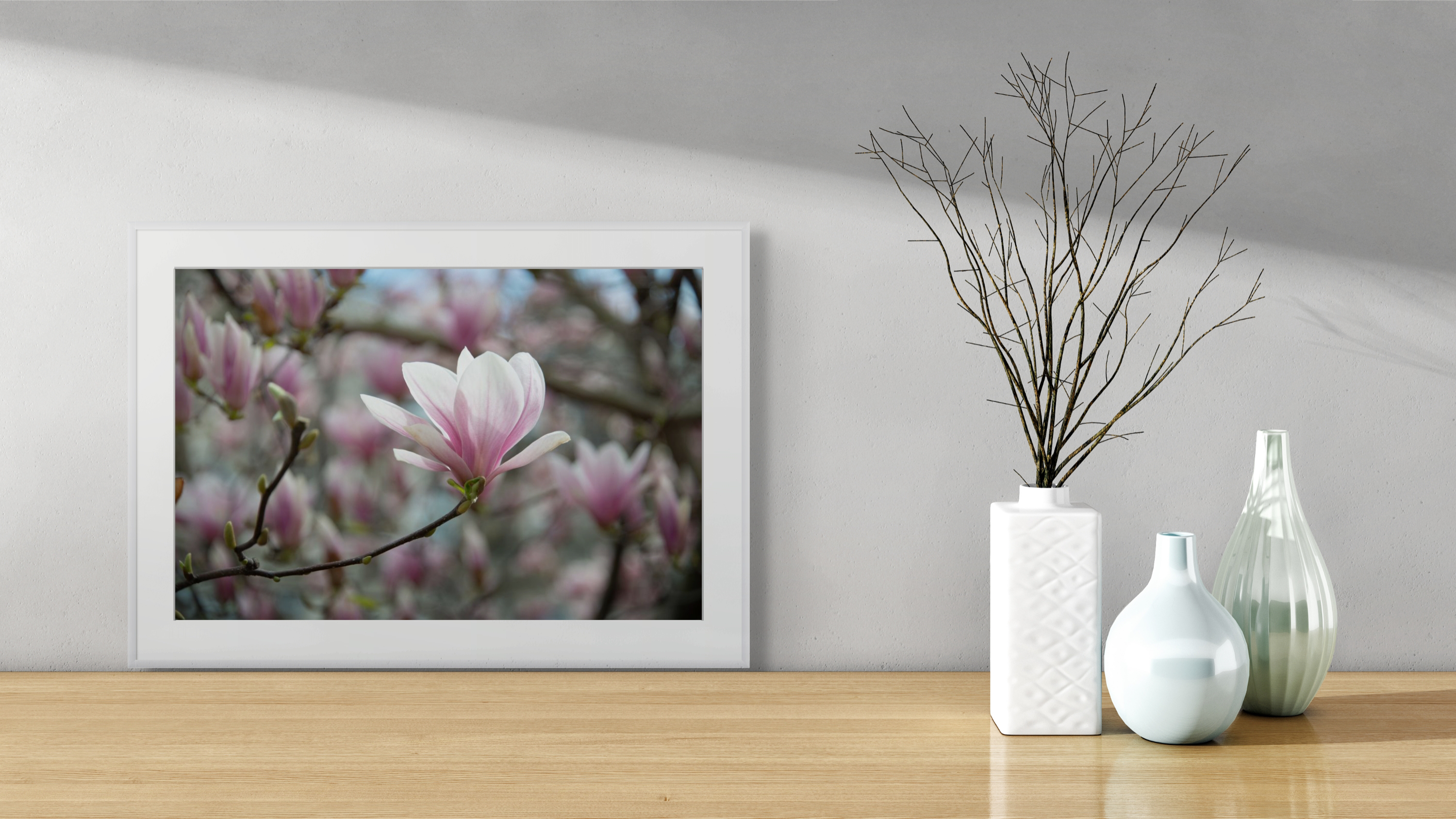 NN better writing  Early Spring Magnolia, Flower Photograph