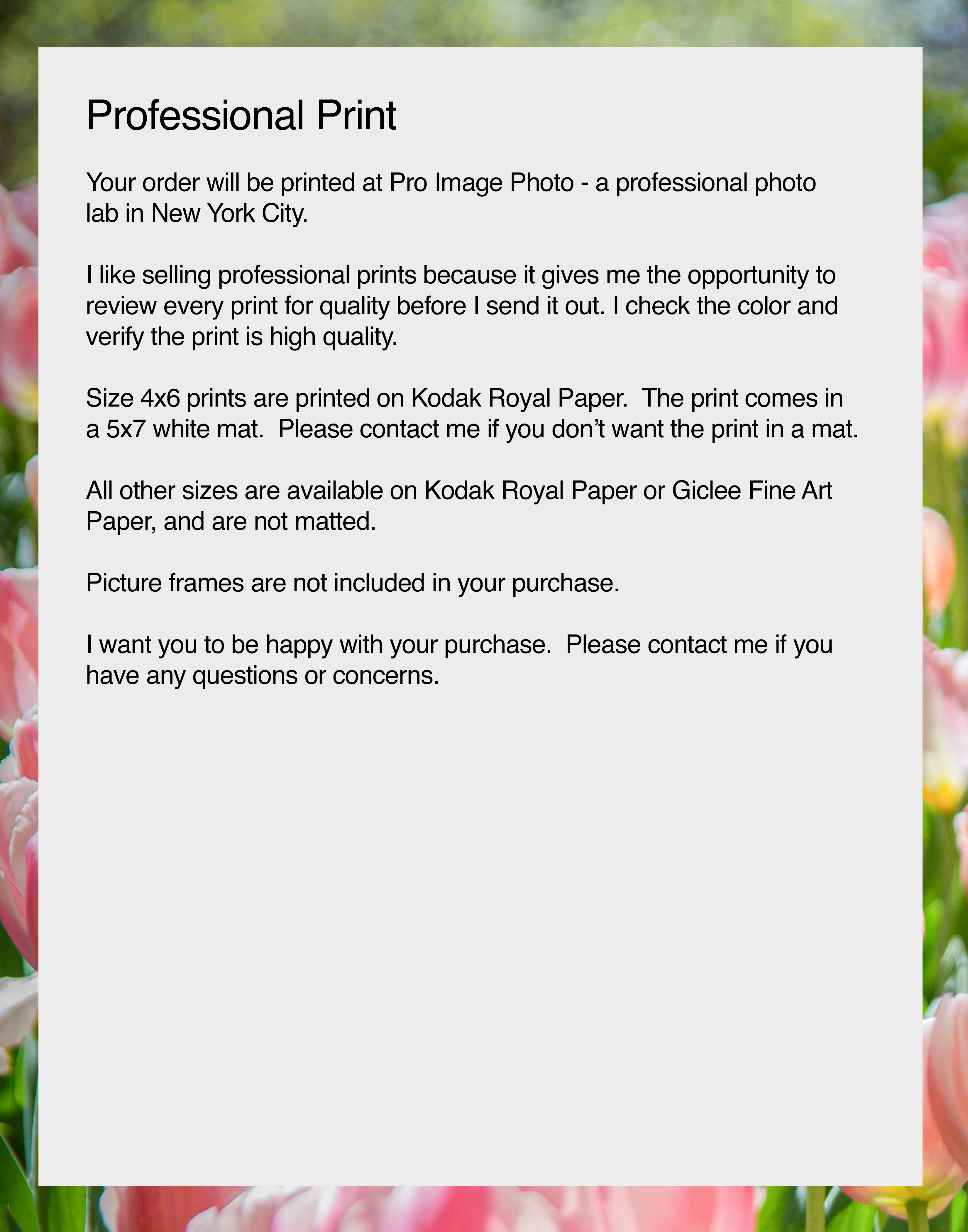 NN Better Writing.   The Tulips are Here, Flower Photography