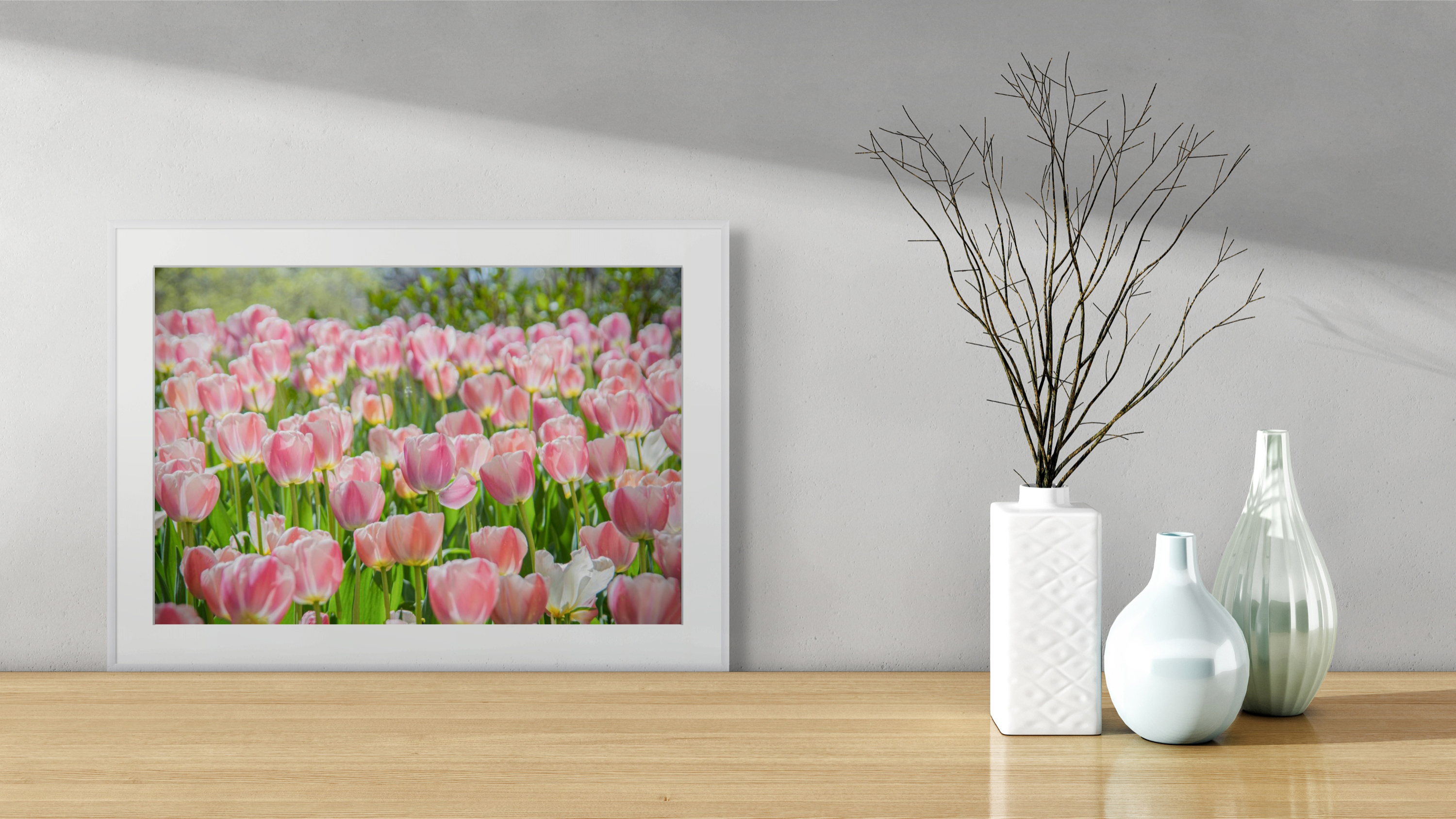 NN Better Writing.   The Tulips are Here, Flower Photography