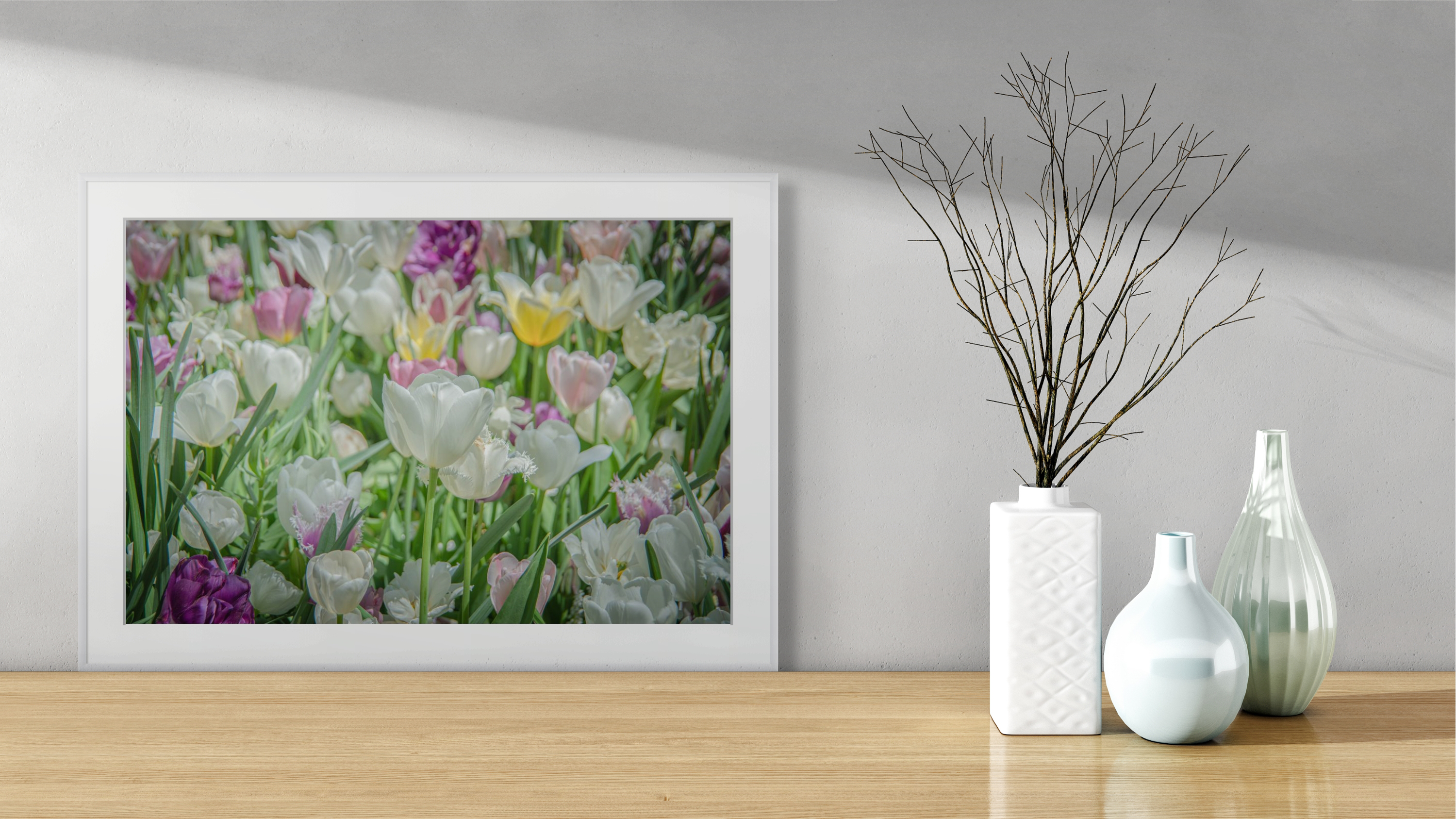 NN Better Writing.   Tulips of Shakespeare's Garden, Flower Photograph