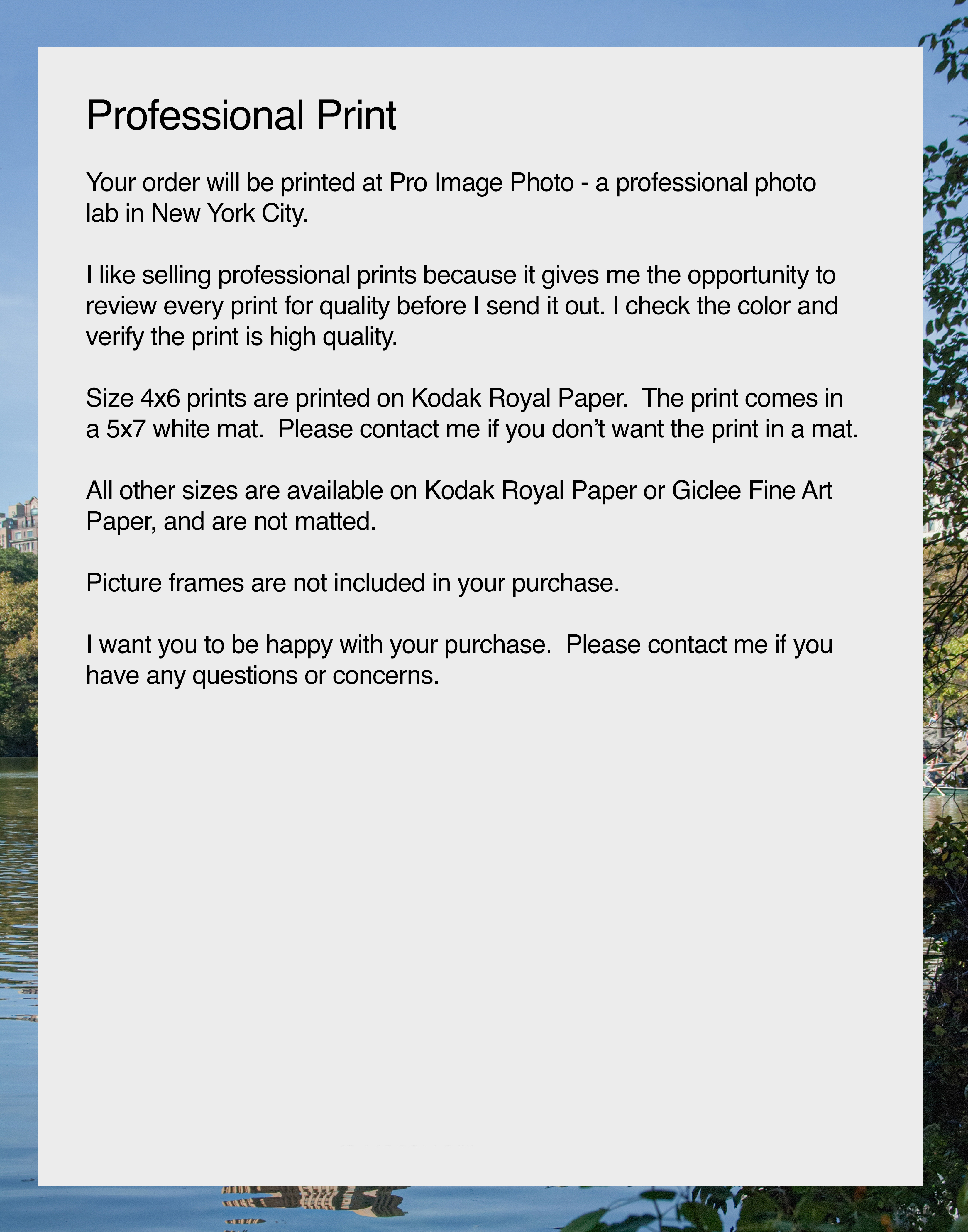 NN better writing. The Quiet Moments of Sunday, Central Park Photograph