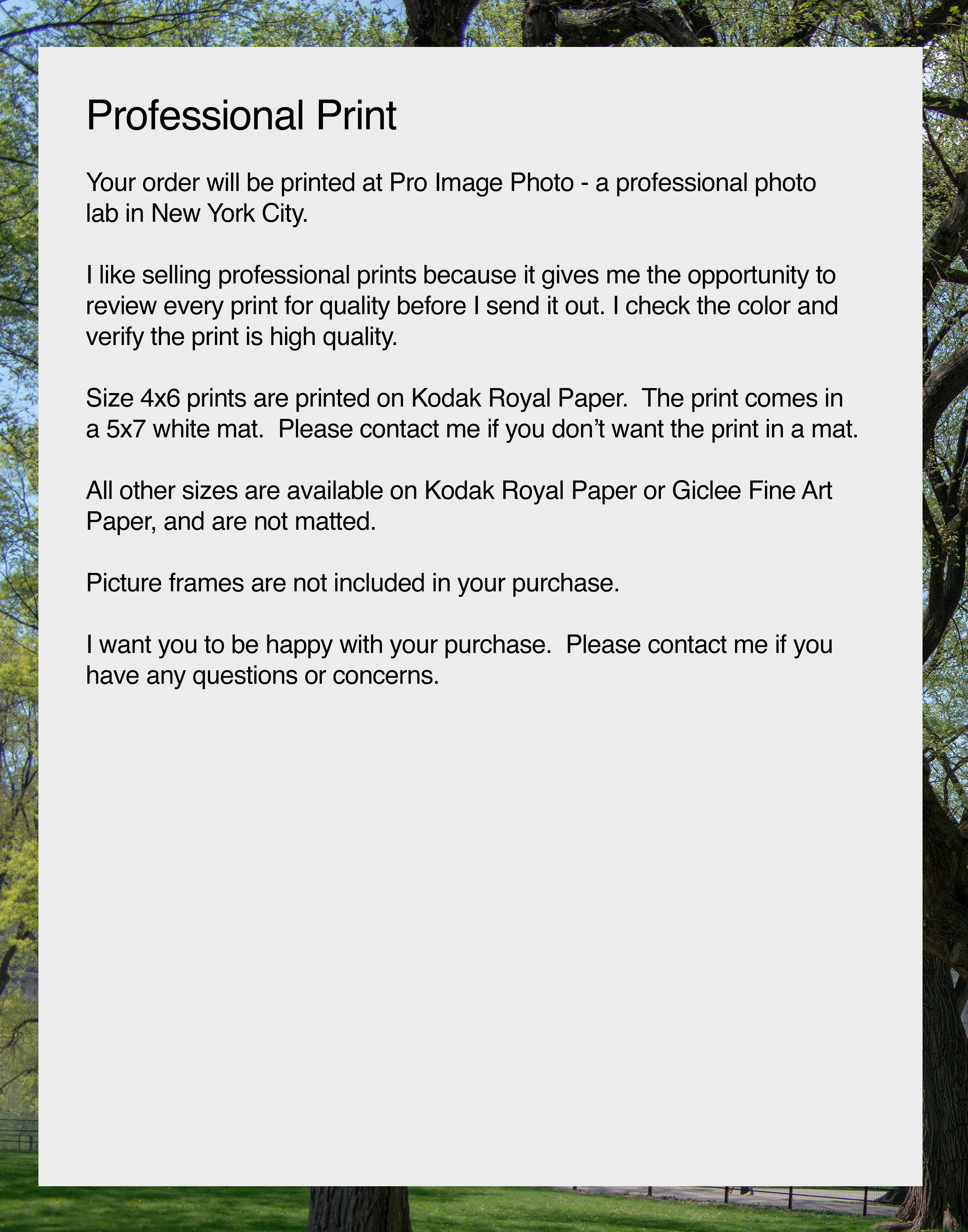 NN Better Writing.    In the Curve, Tree Photograph