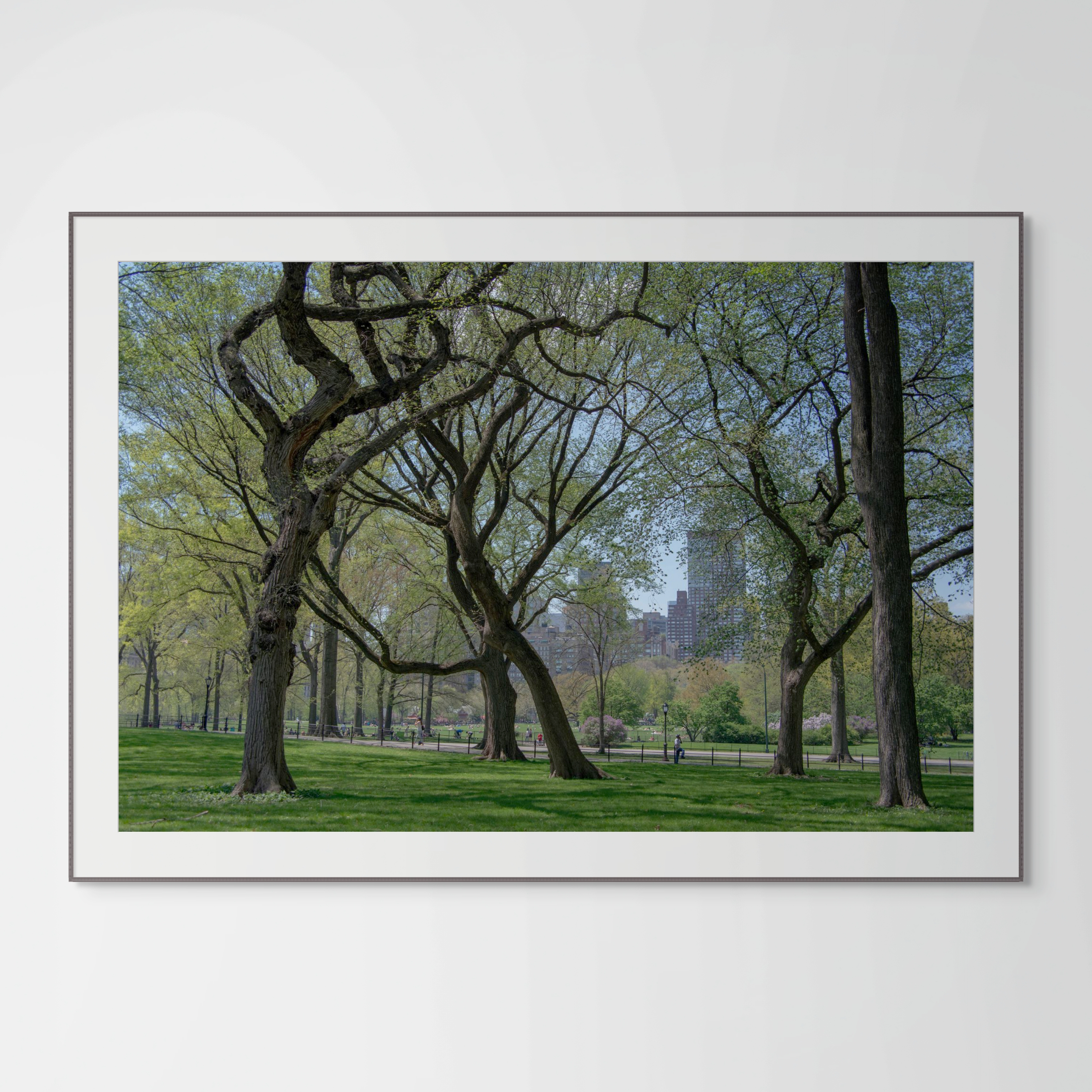 NN Better Writing.    In the Curve, Tree Photograph