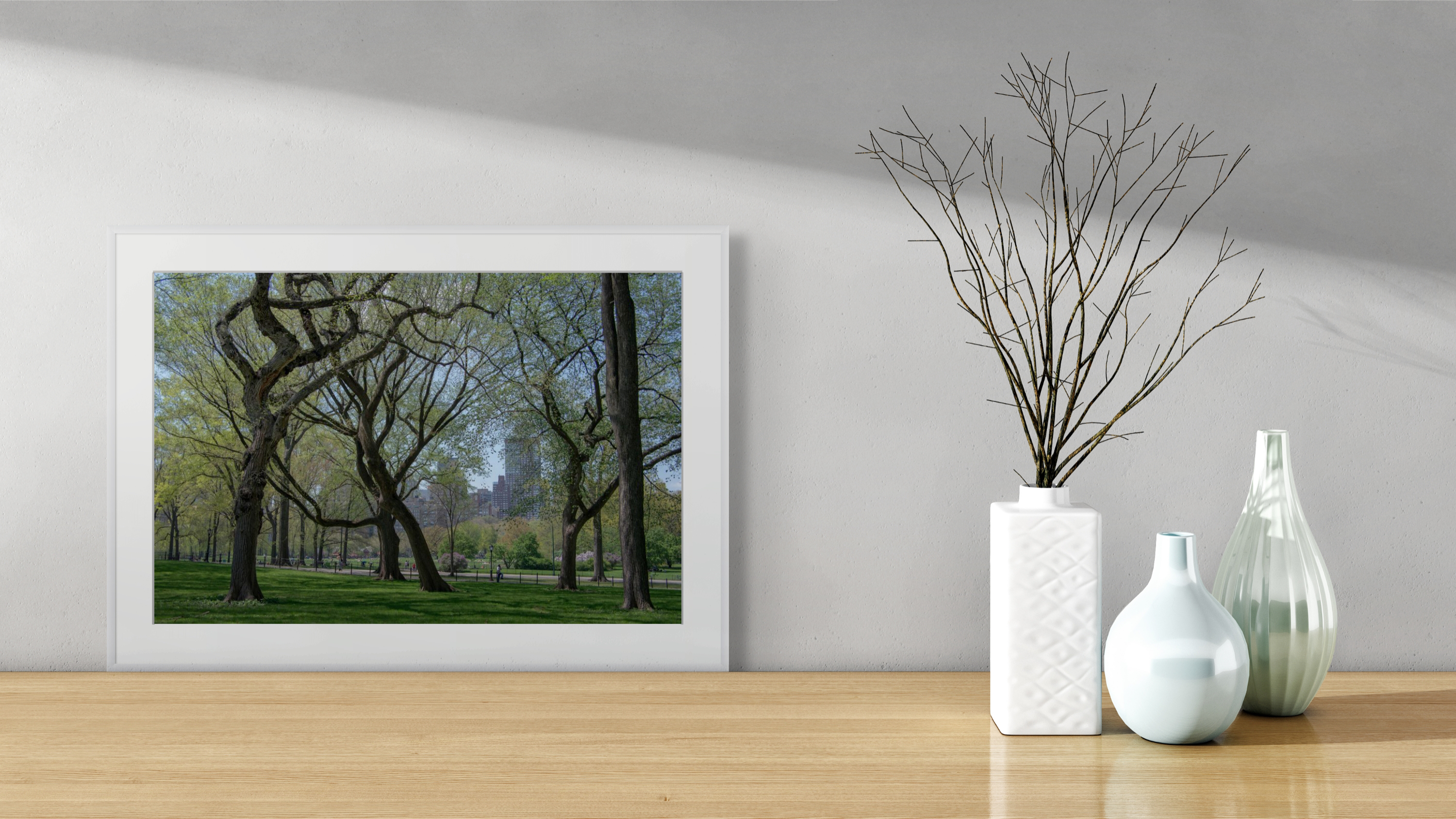 NN Better Writing.    In the Curve, Tree Photograph