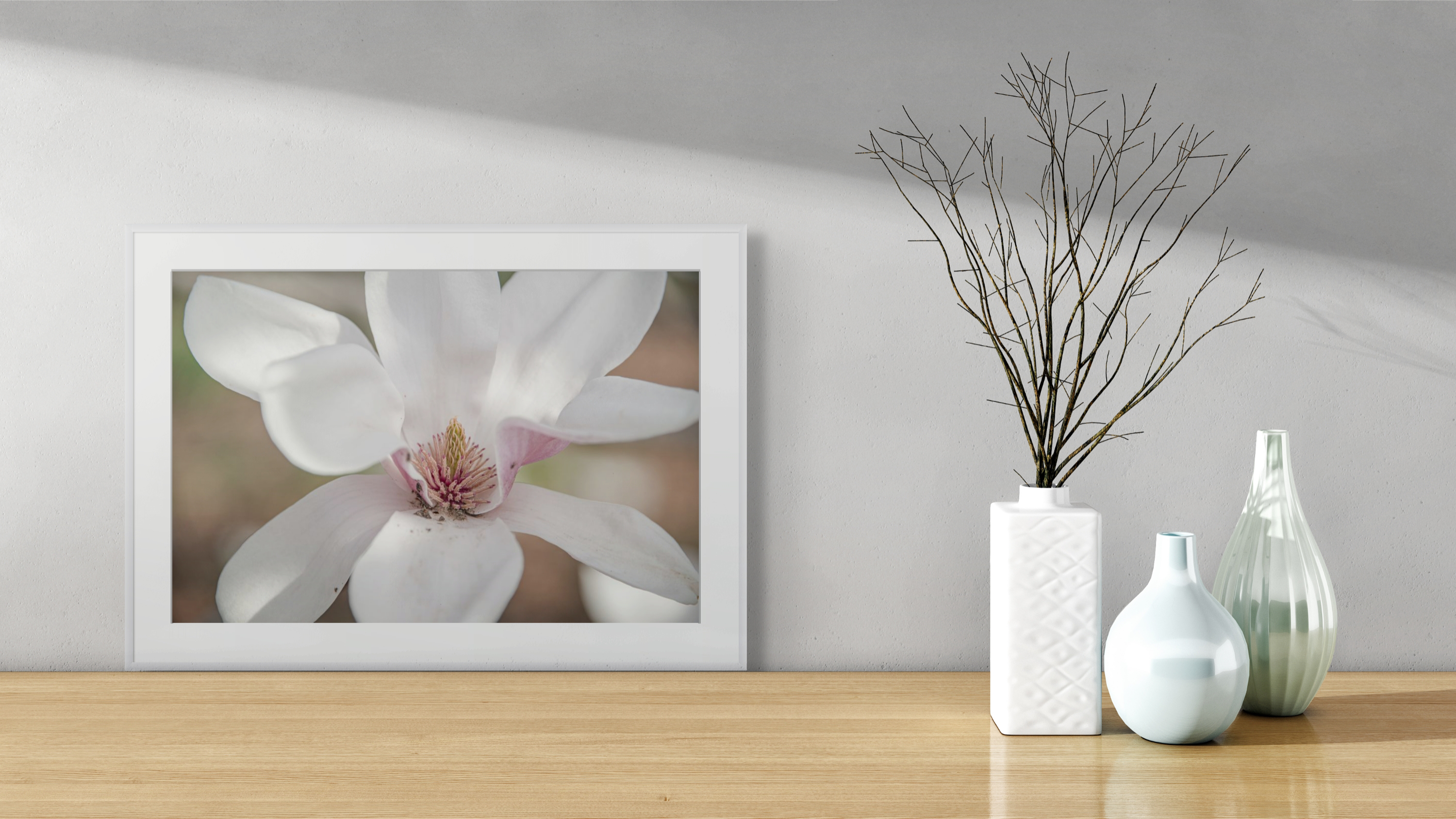 NN better writing  Early Spring Magnolia, Flower Photograph