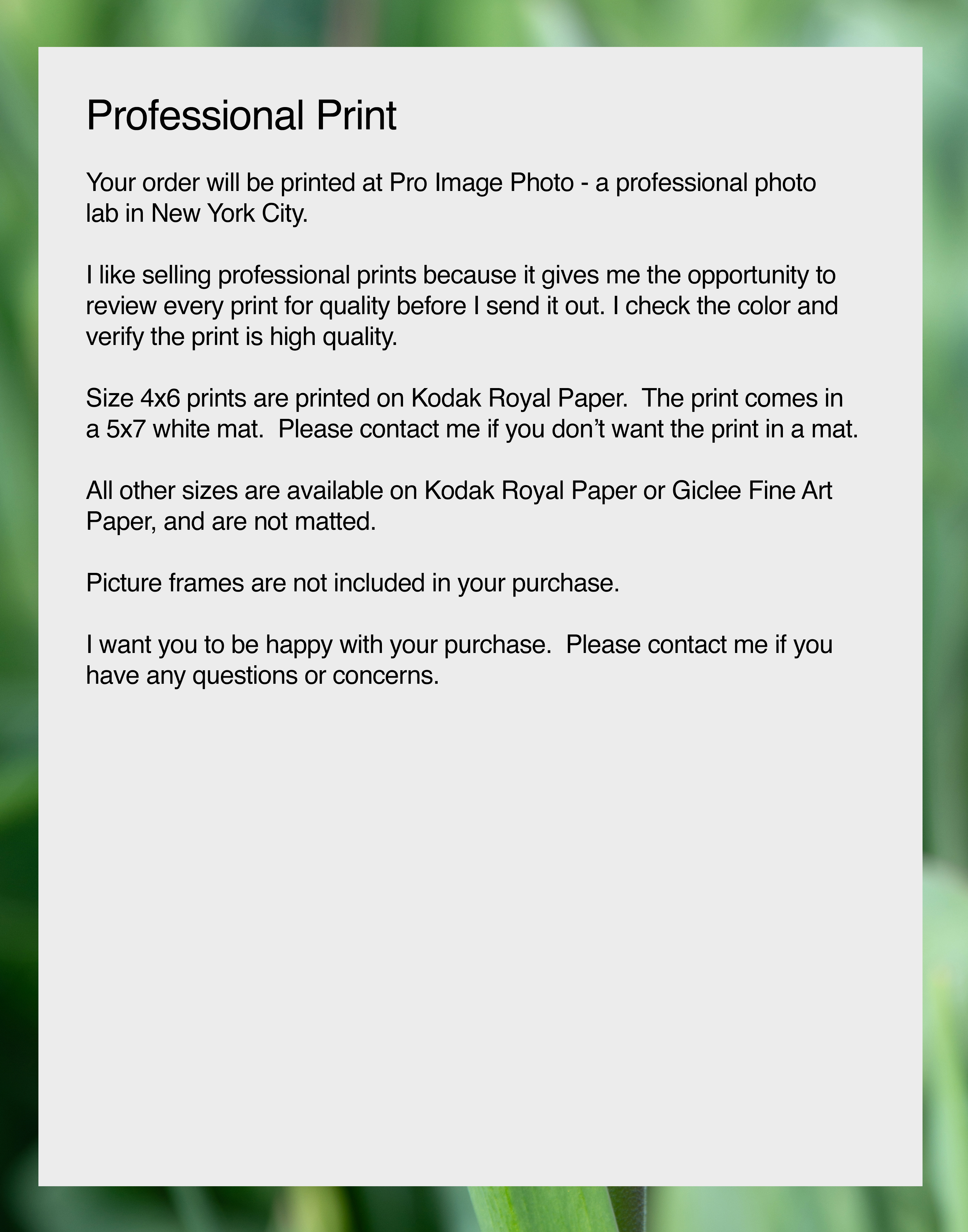 NN Better writing.    Rest, Flower Photograph