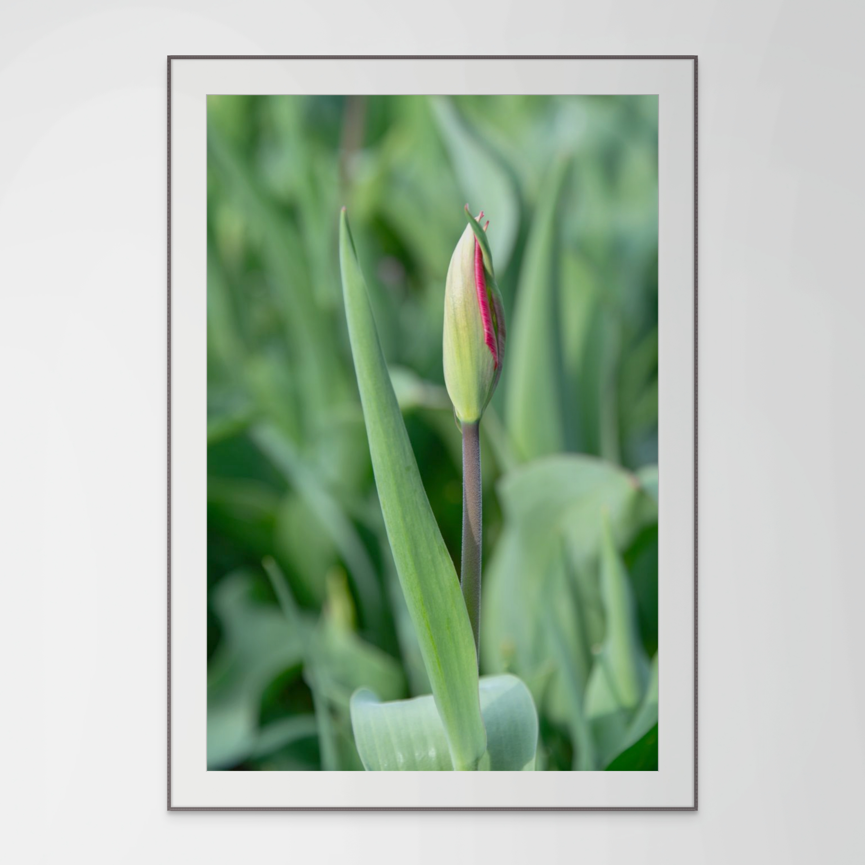 NN Better writing.    Rest, Flower Photograph