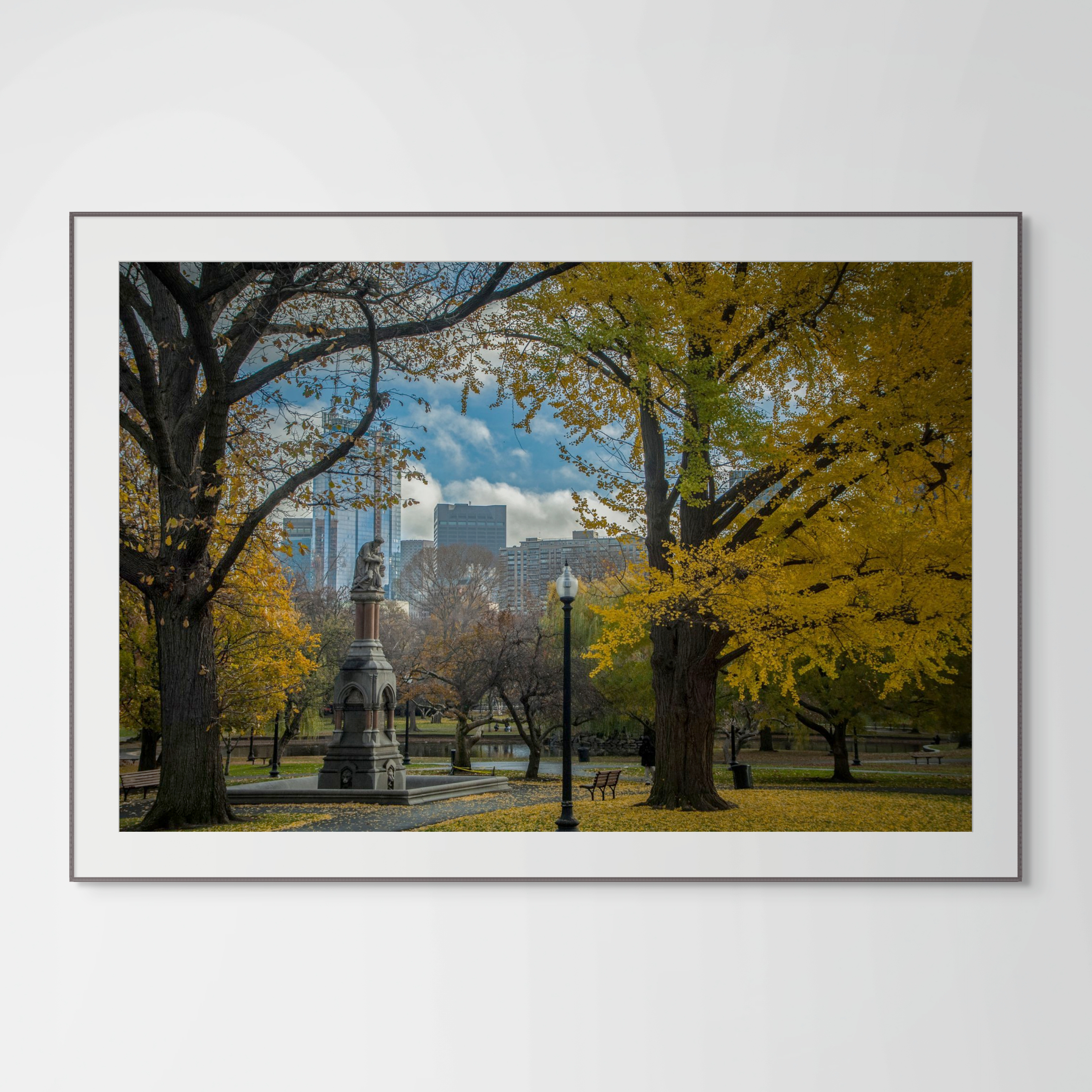 NN better writing.      Autumn Healing, Boston Photograph