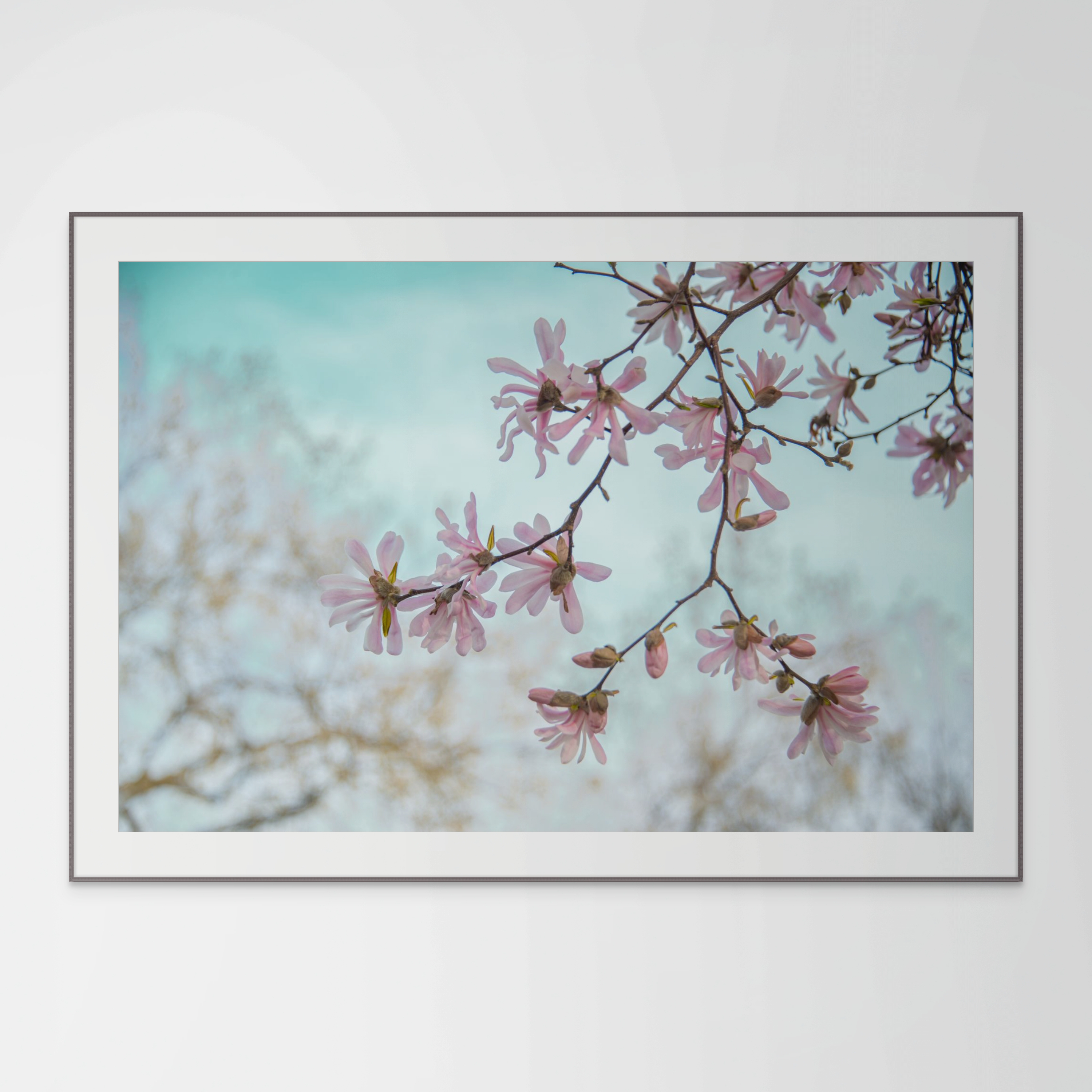 NN better writing, Spring Beginnings, Flower Photograph