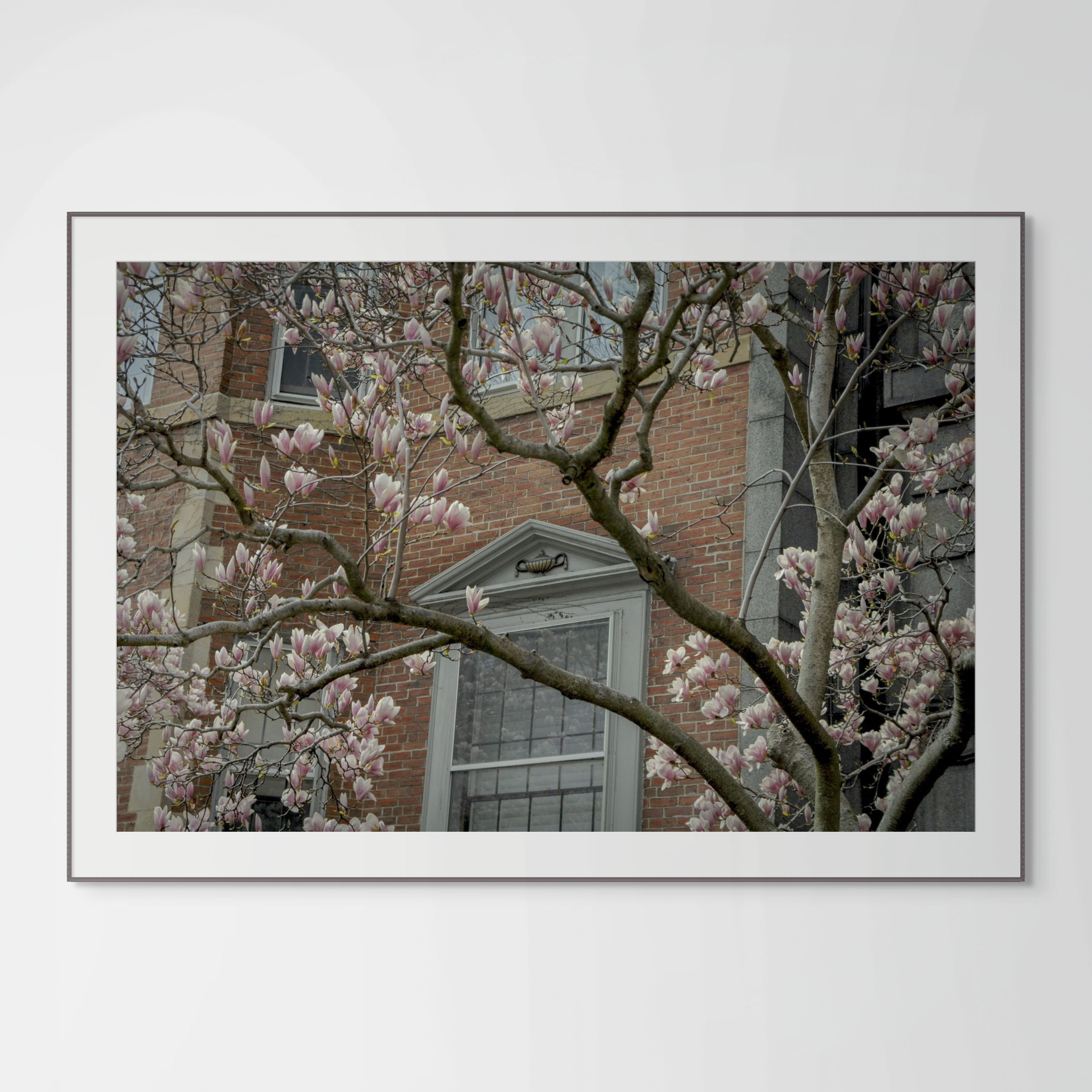 NN better writing.      Marlborough Street, Boston Photograph