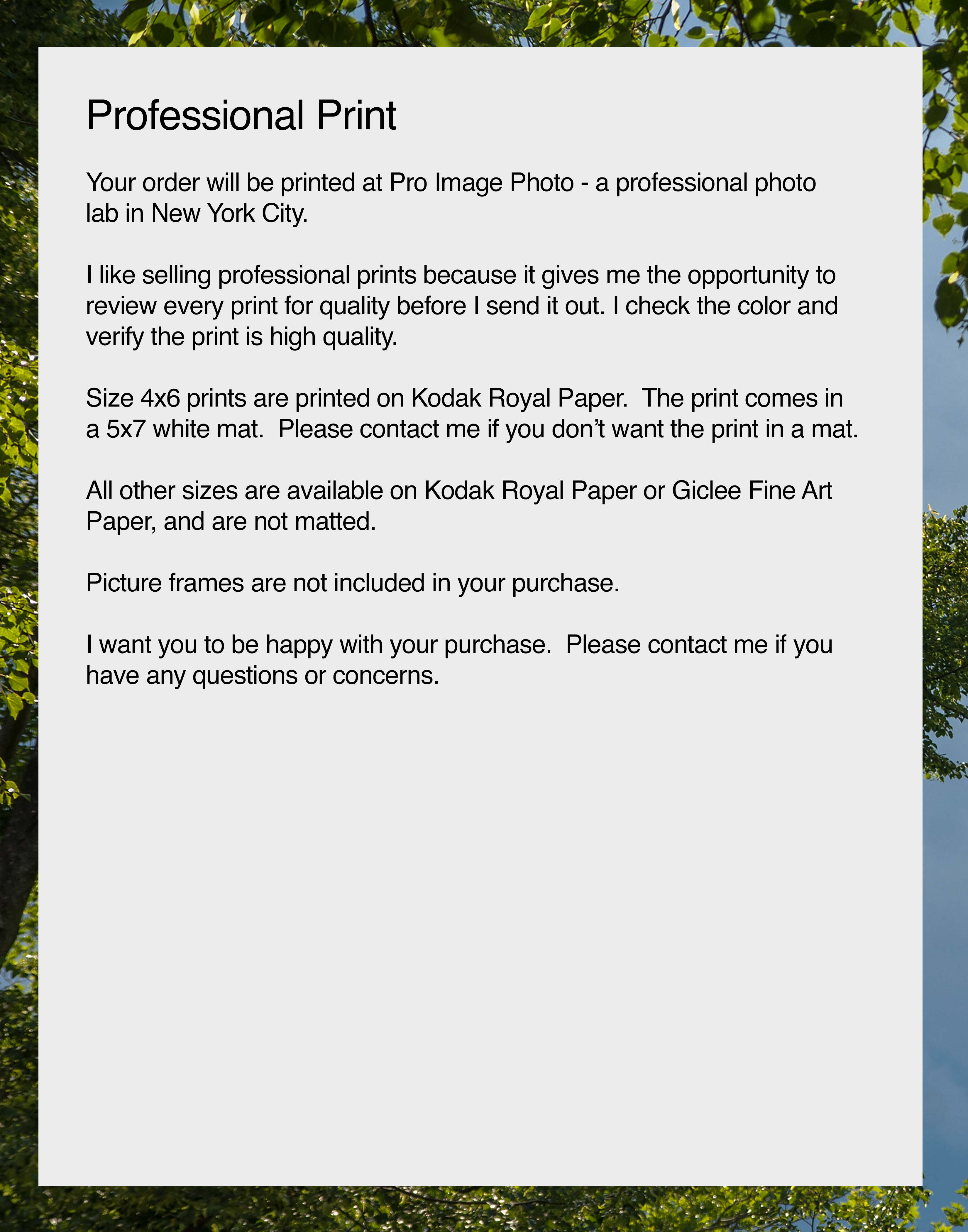 NN Better Writing.    Tree Heart, Central Park Photograph