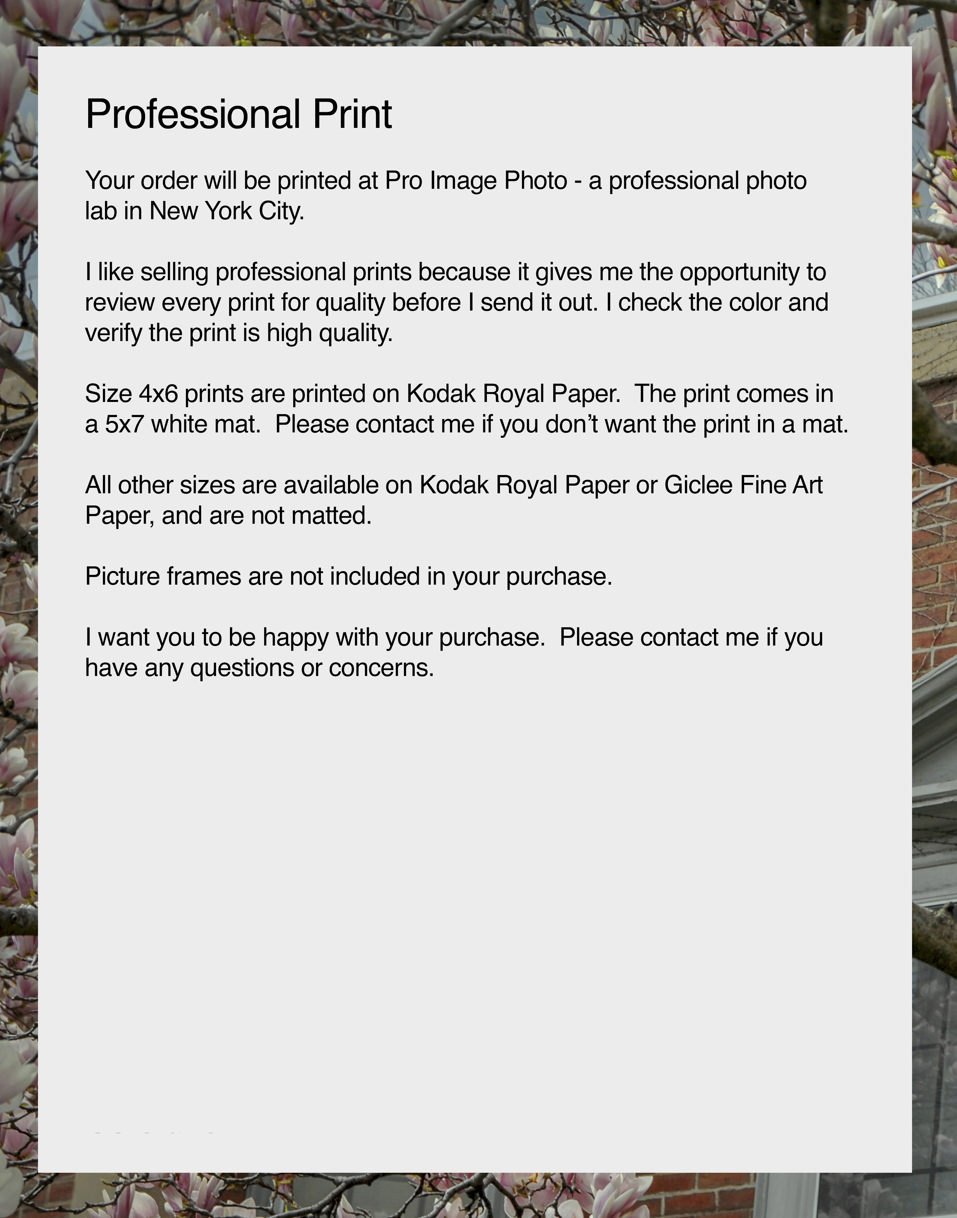 NN better writing.      Marlborough Street, Boston Photograph